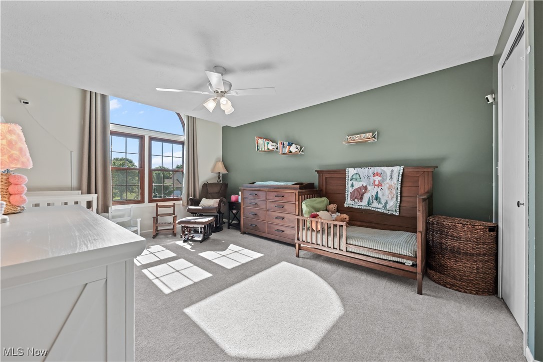 4216 Meadow Wood Lane