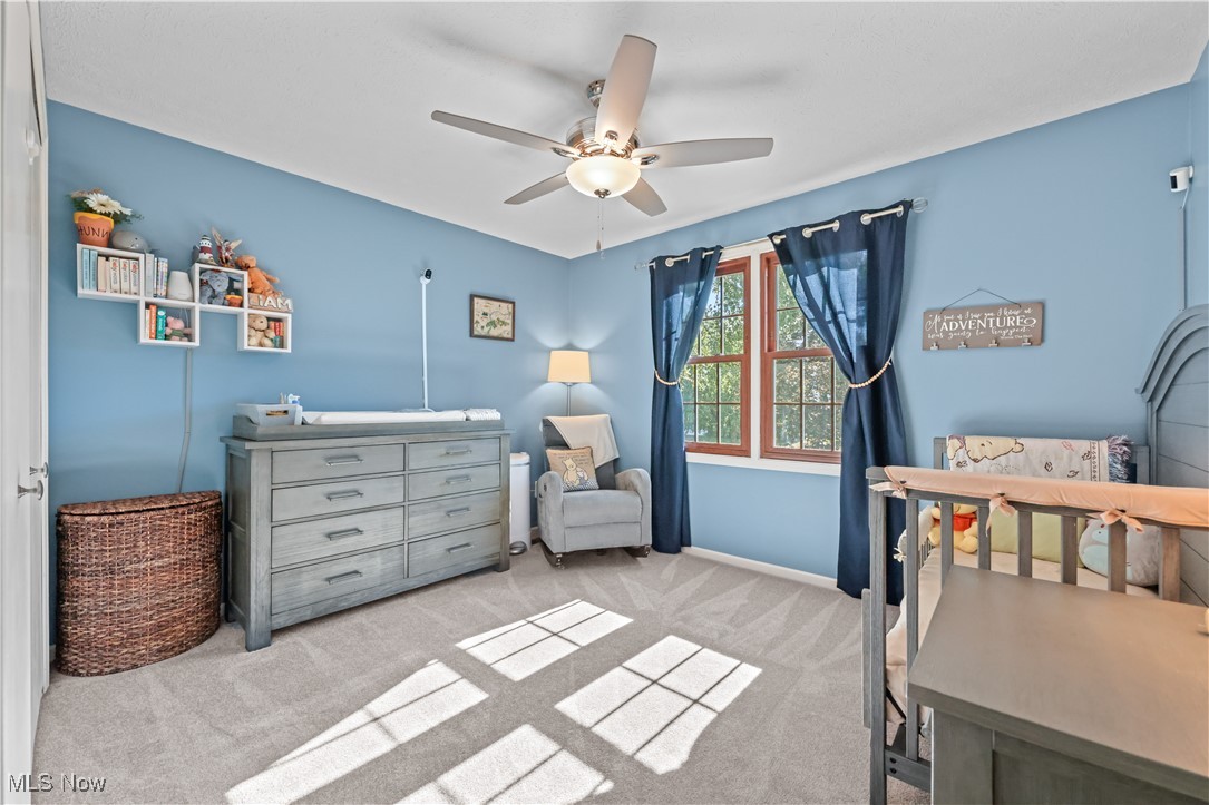 4216 Meadow Wood Lane