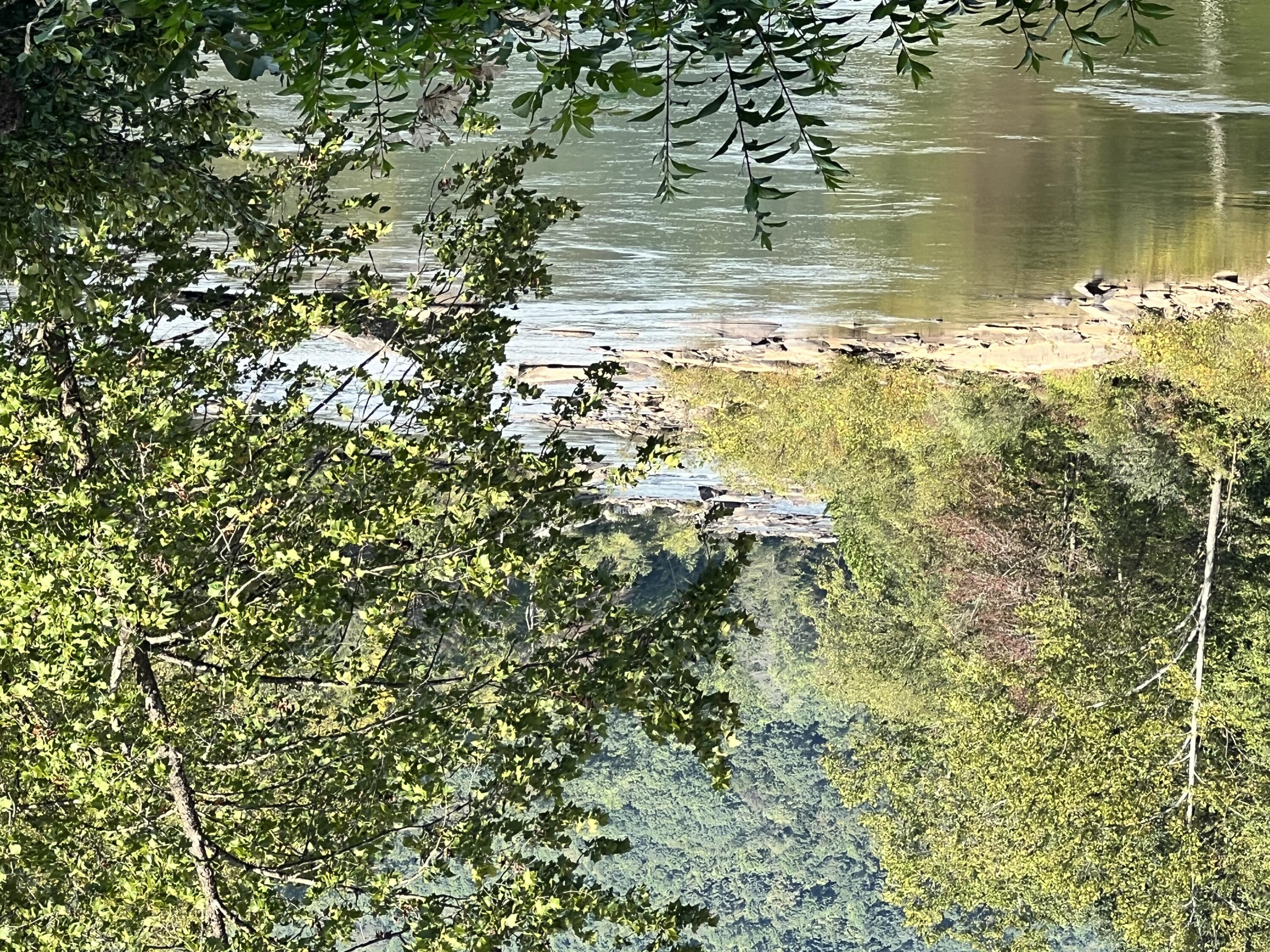 Marybill/ Curtain R/R