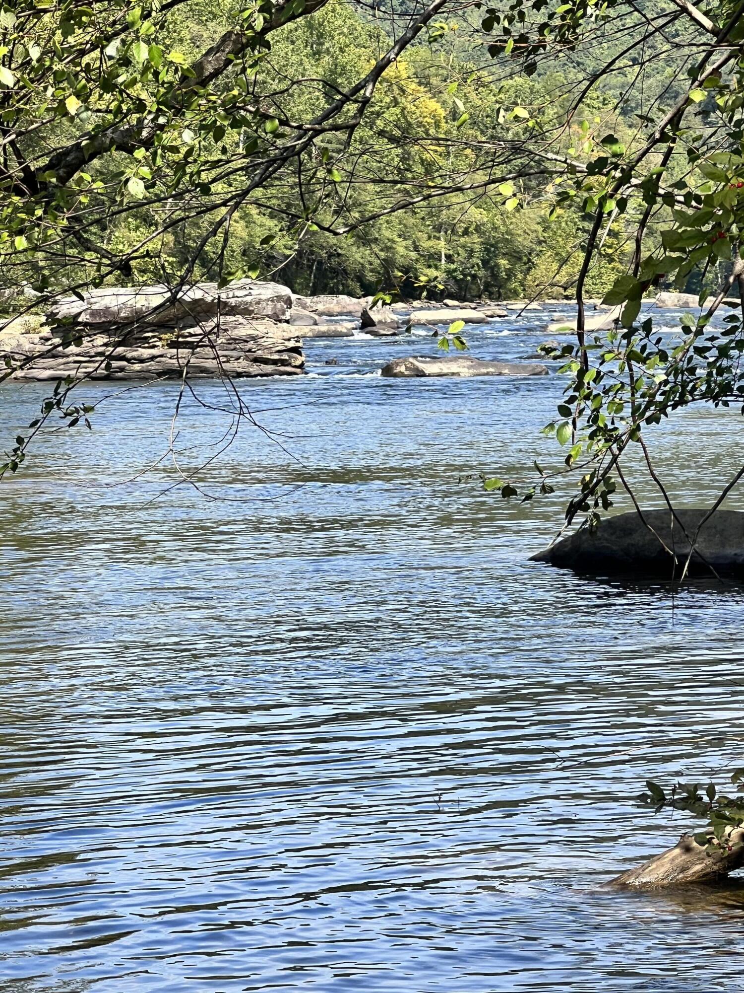 Marybill/ Curtain R/R