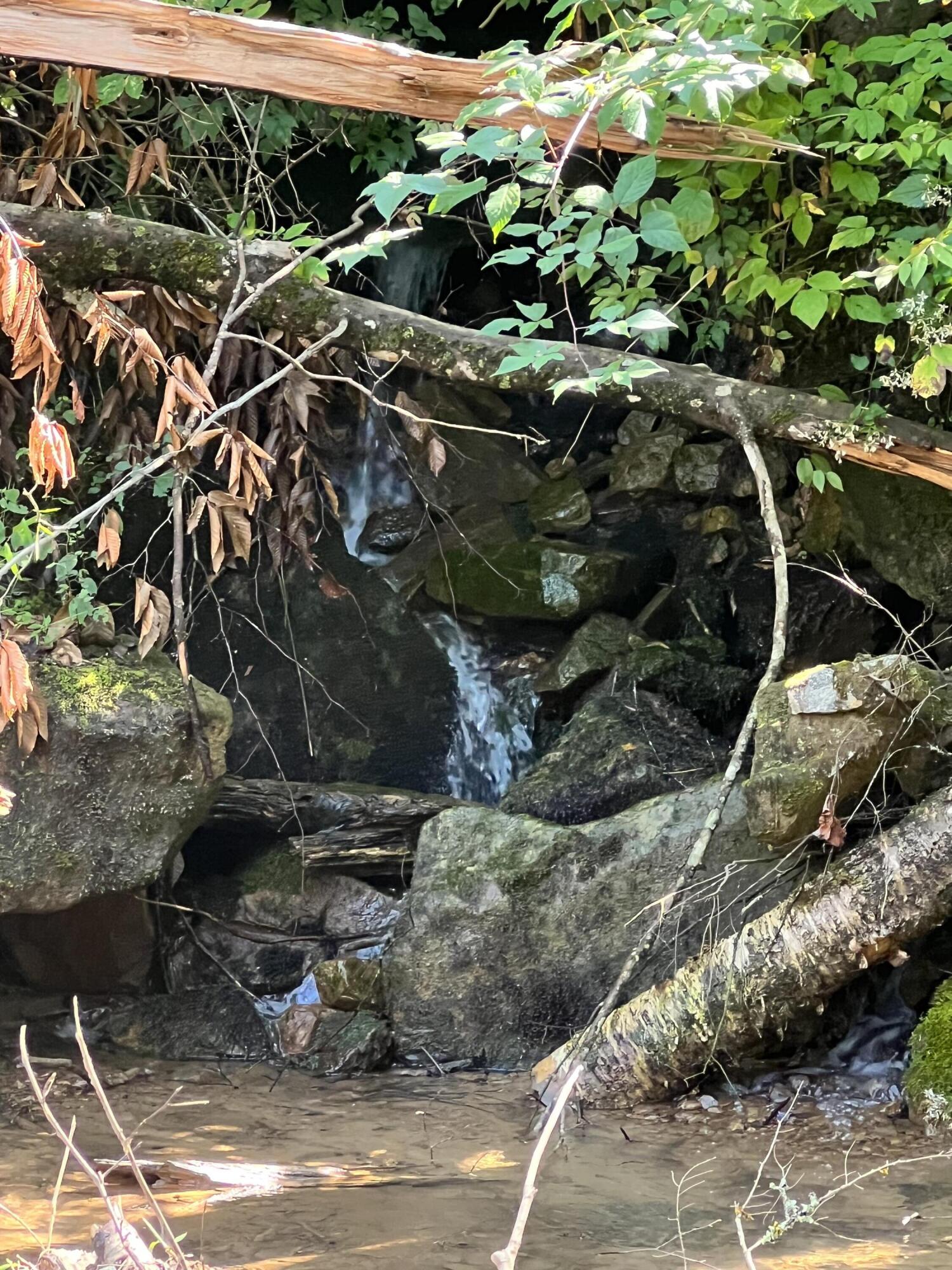 Marybill/ Curtain R/R