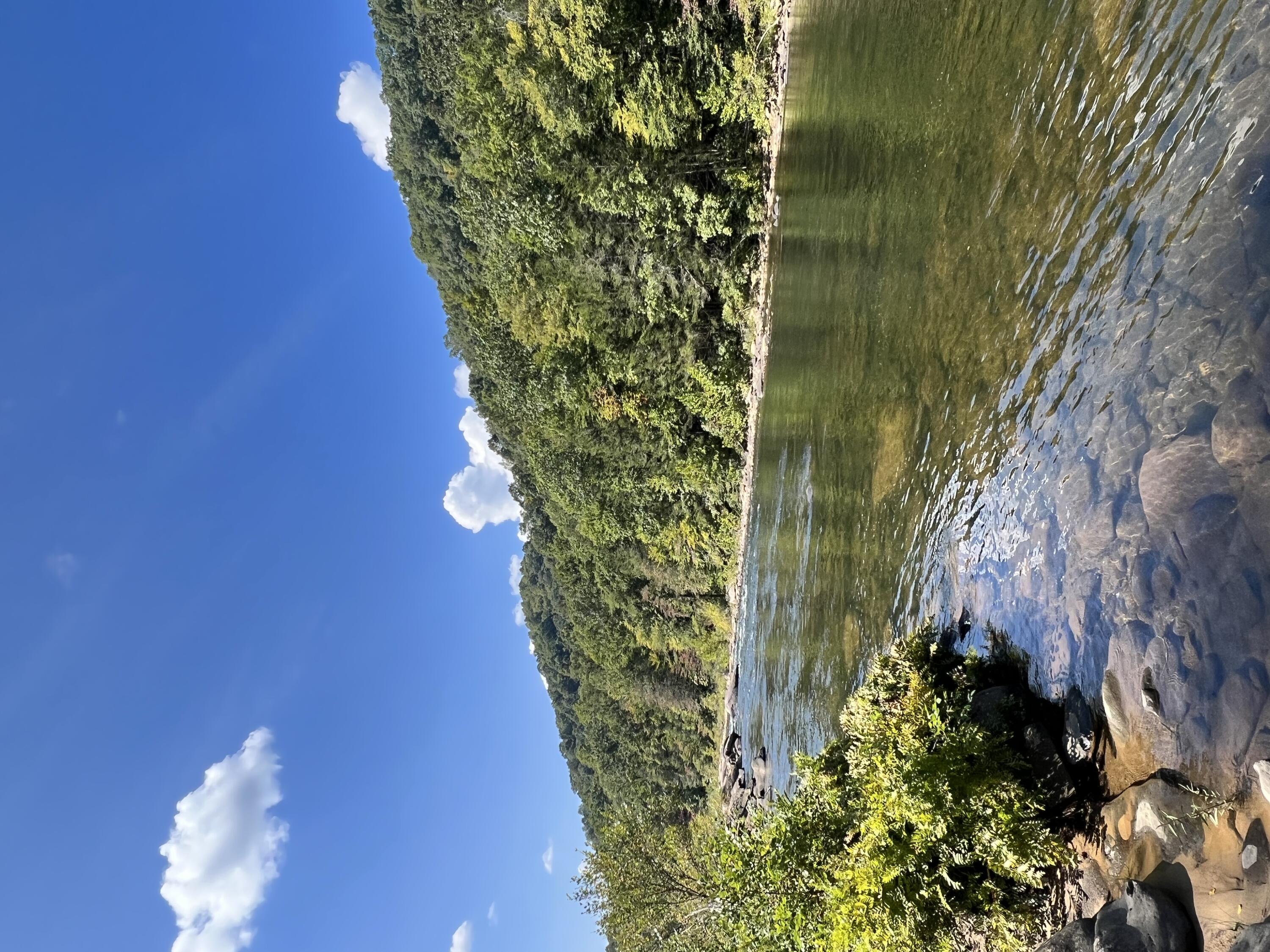 Marybill/ Curtain R/R