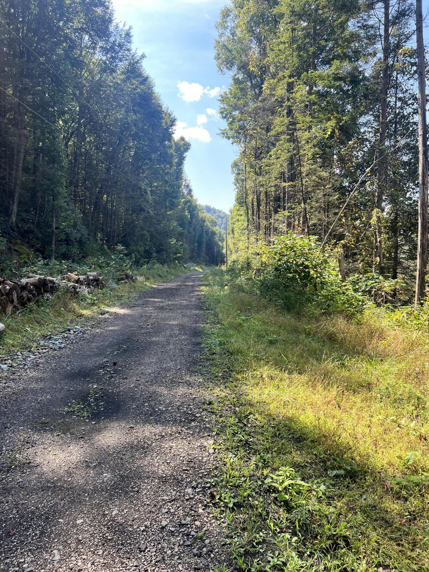 Marybill/ Curtain R/R