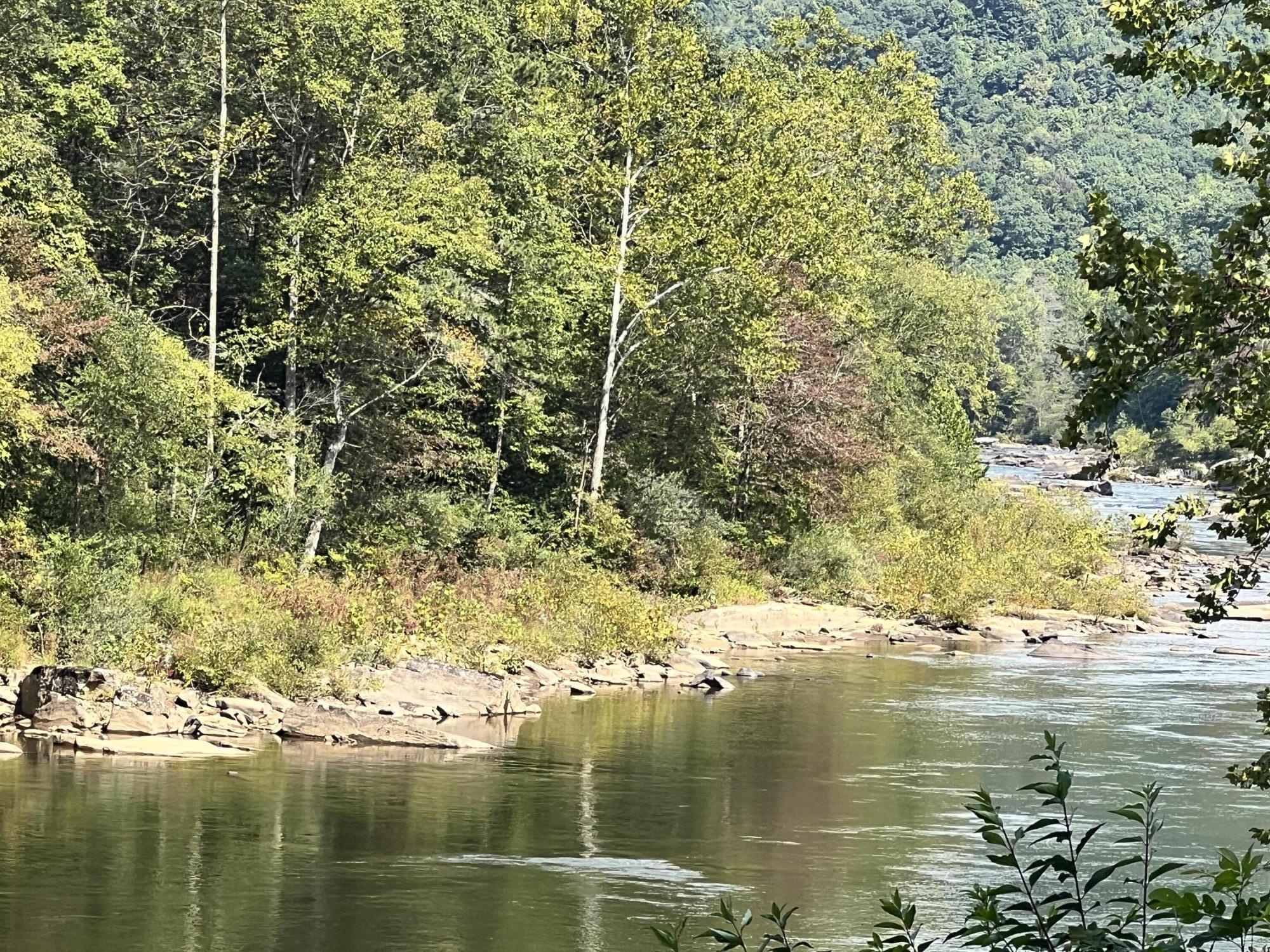 Marybill/ Curtain R/R