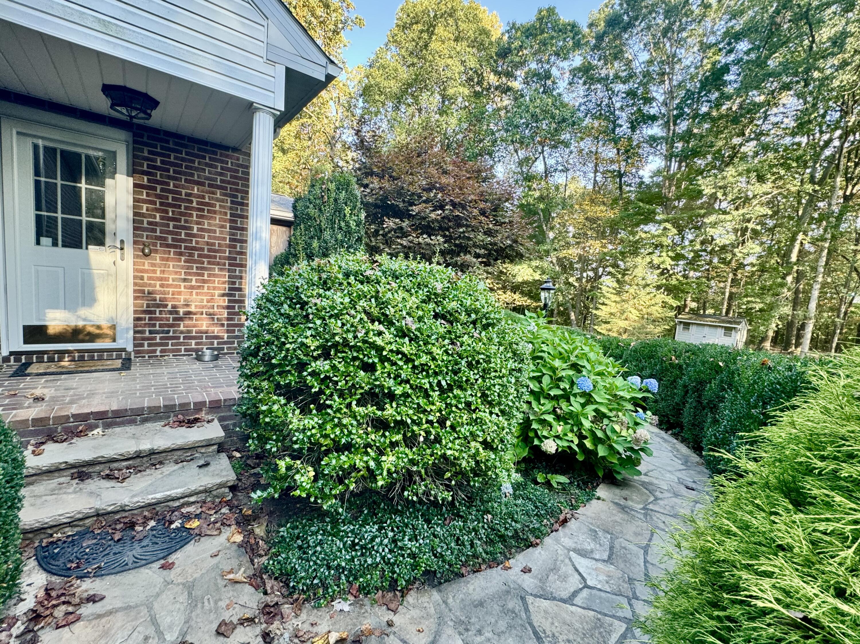 423 Dominick Cir