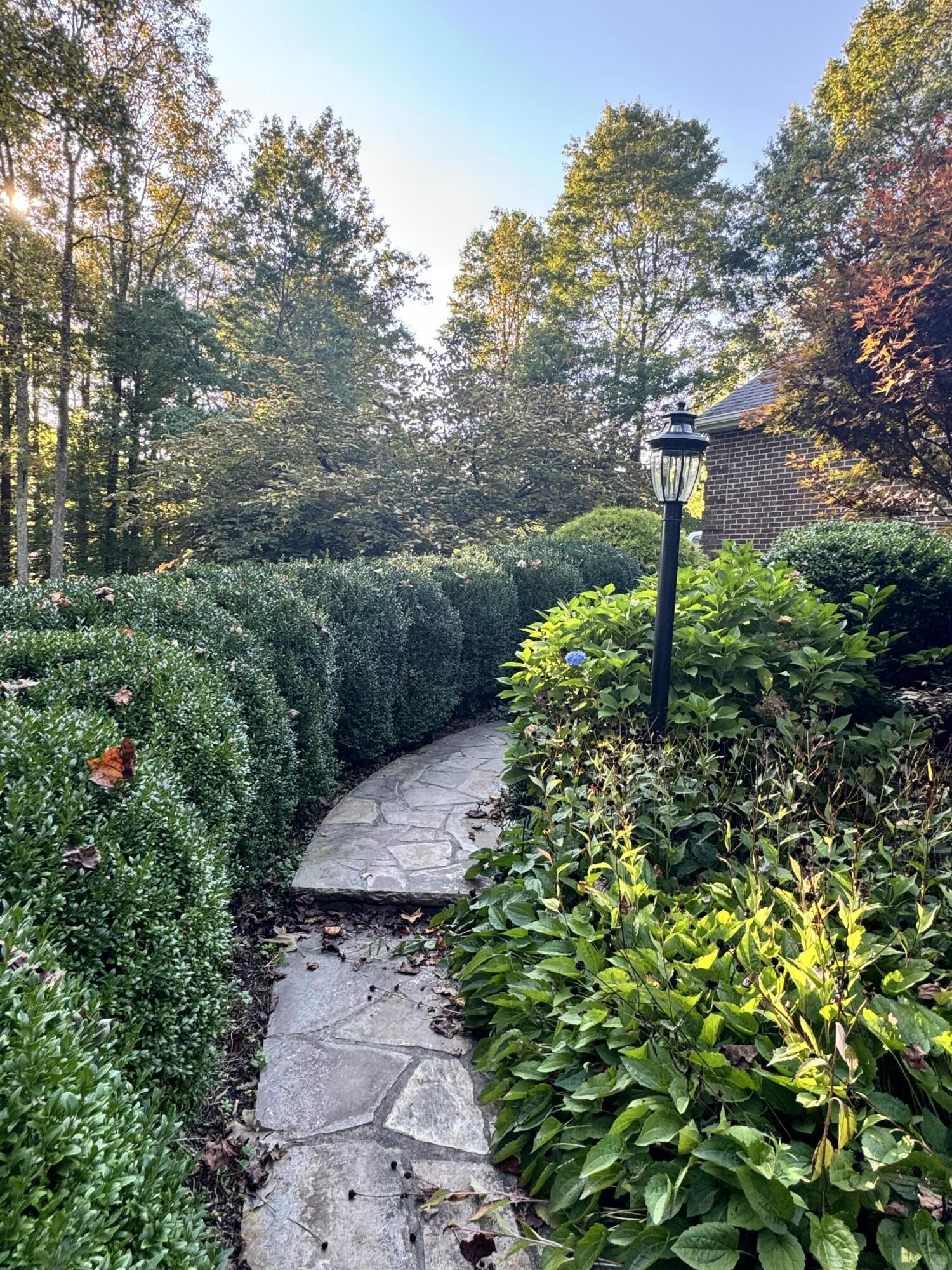 423 Dominick Cir