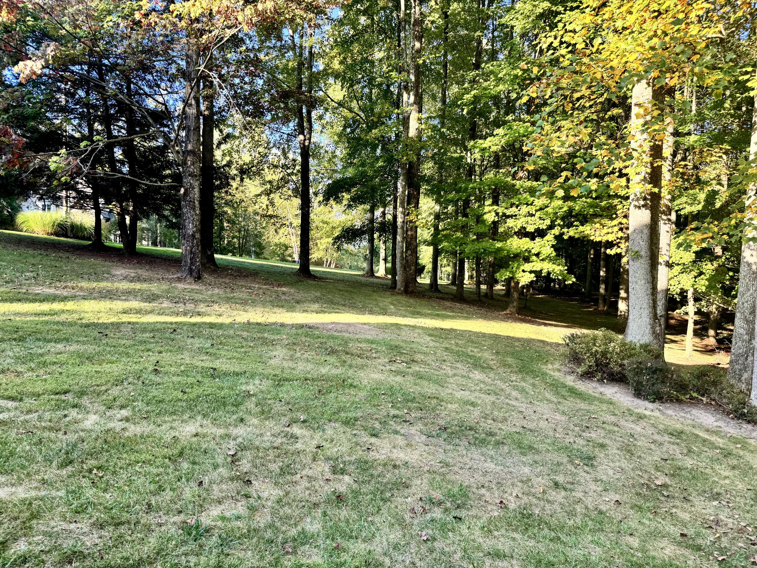 423 Dominick Cir