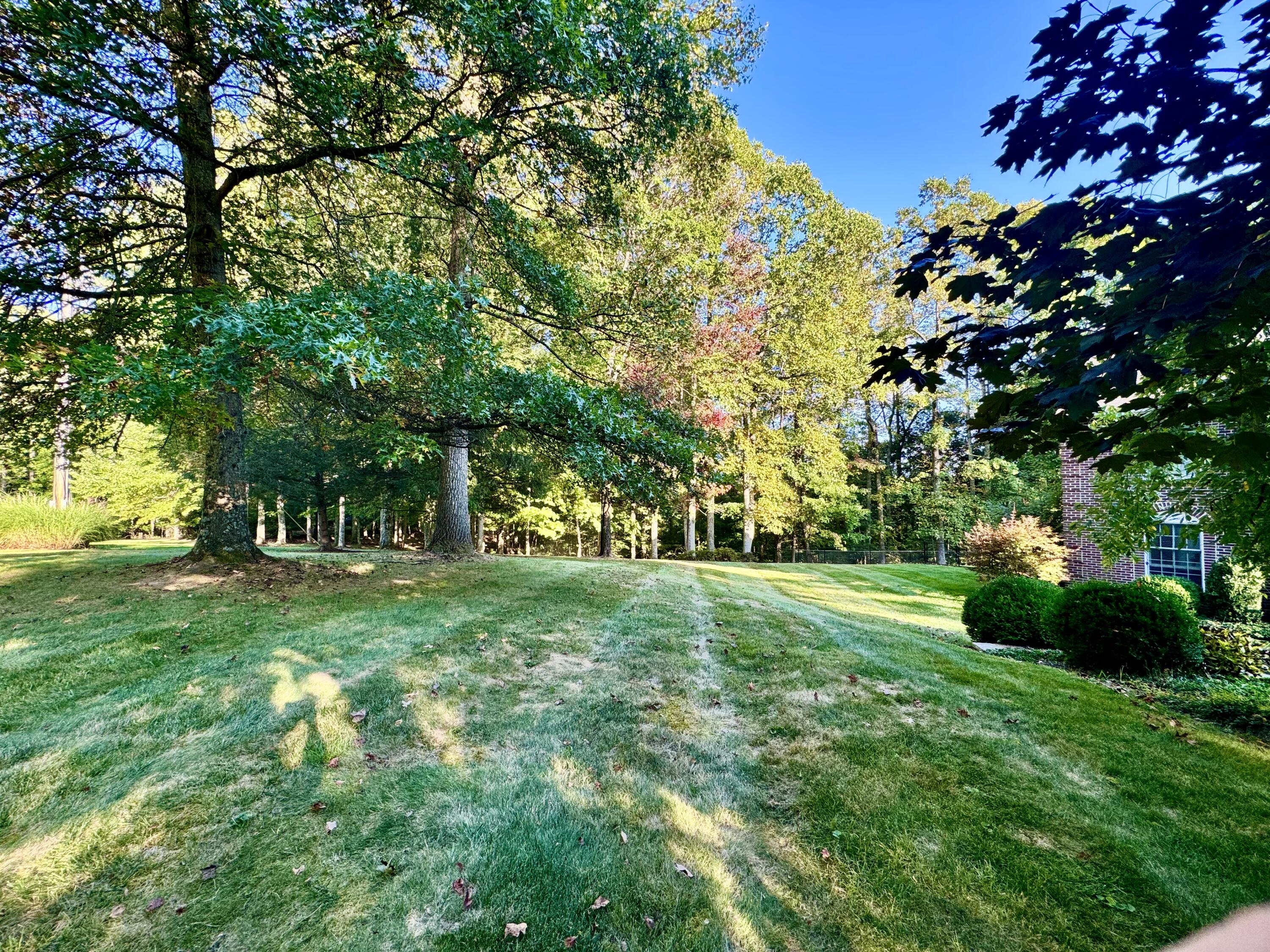 423 Dominick Cir