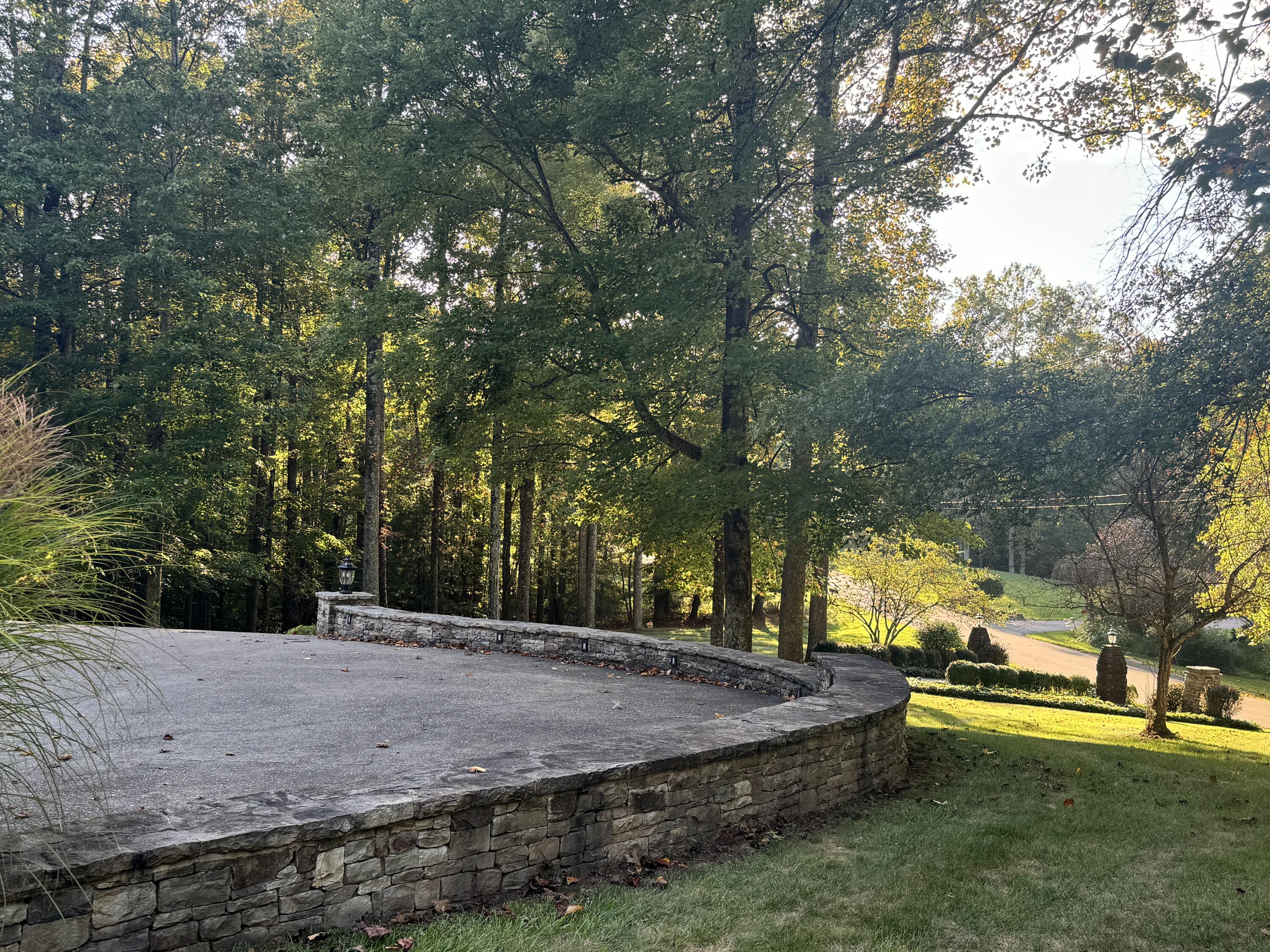 423 Dominick Cir