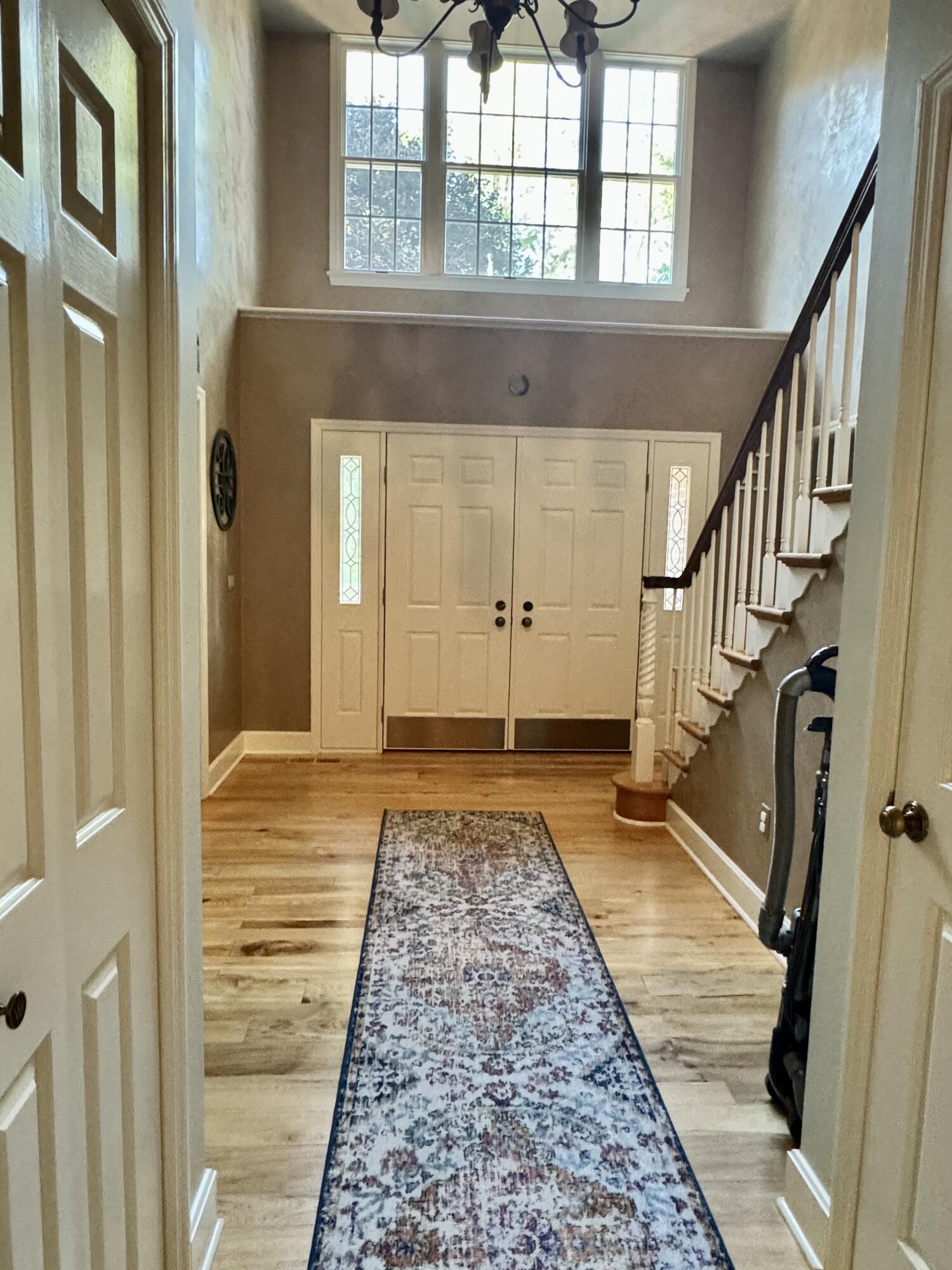 423 Dominick Cir