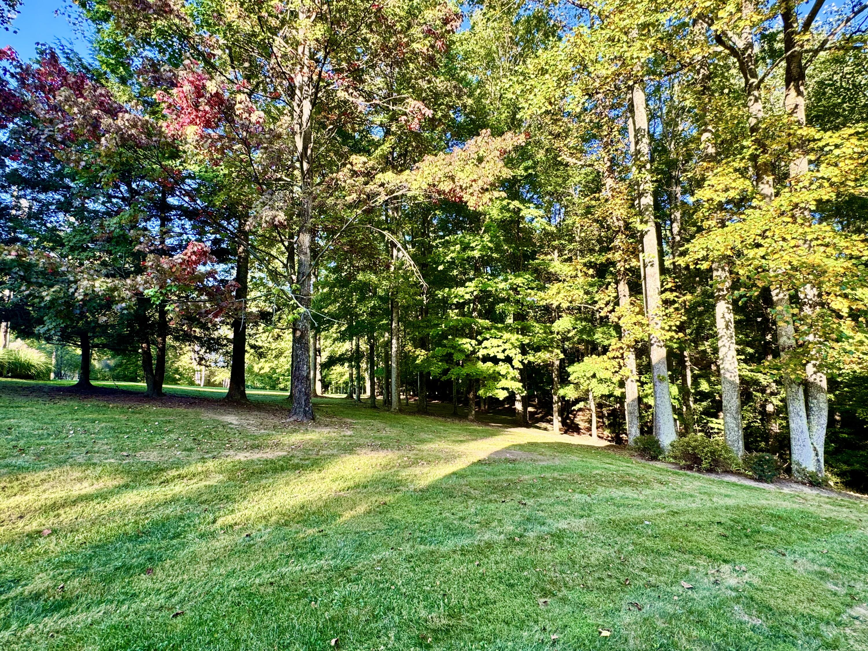 423 Dominick Cir