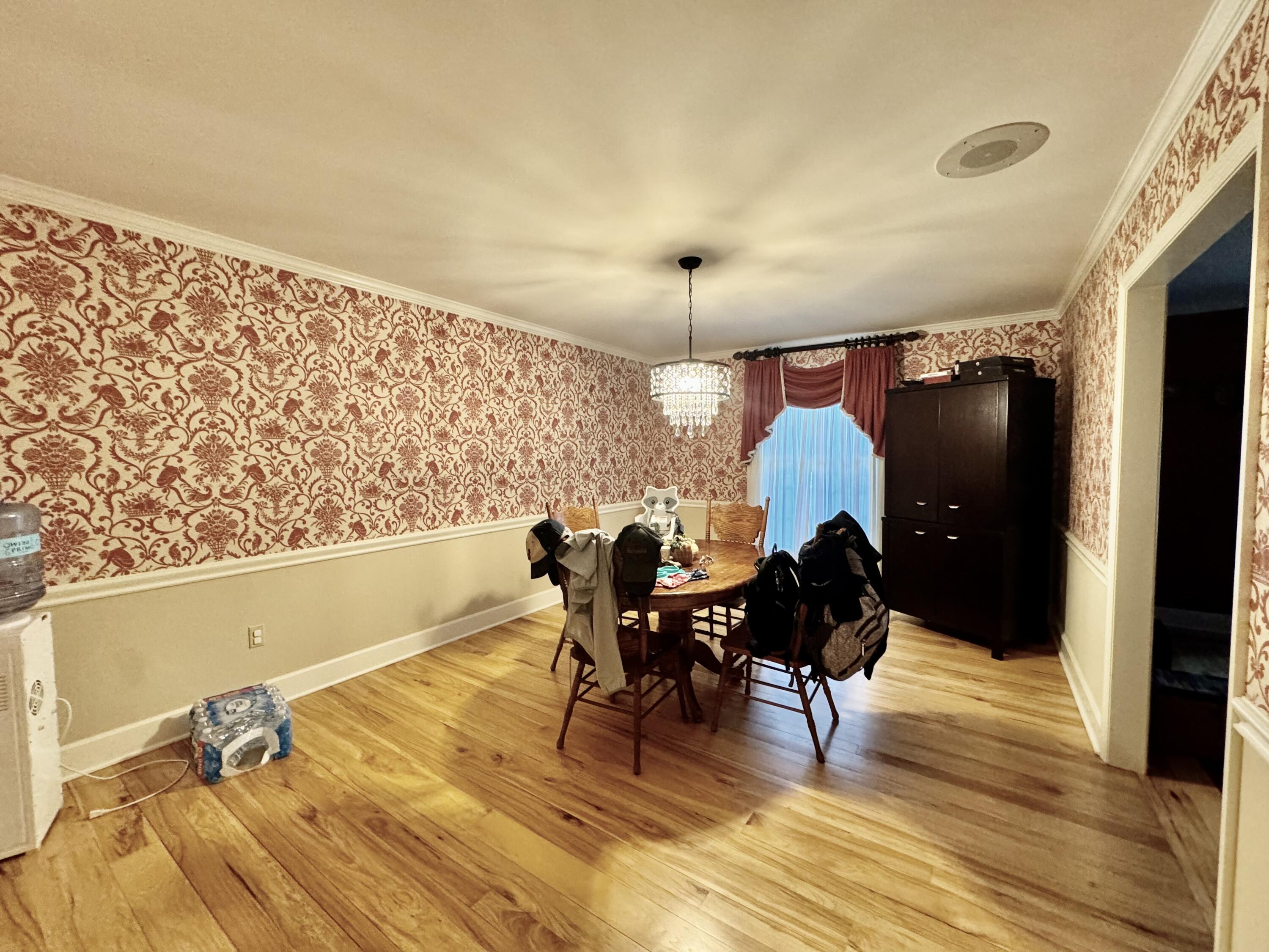 423 Dominick Cir
