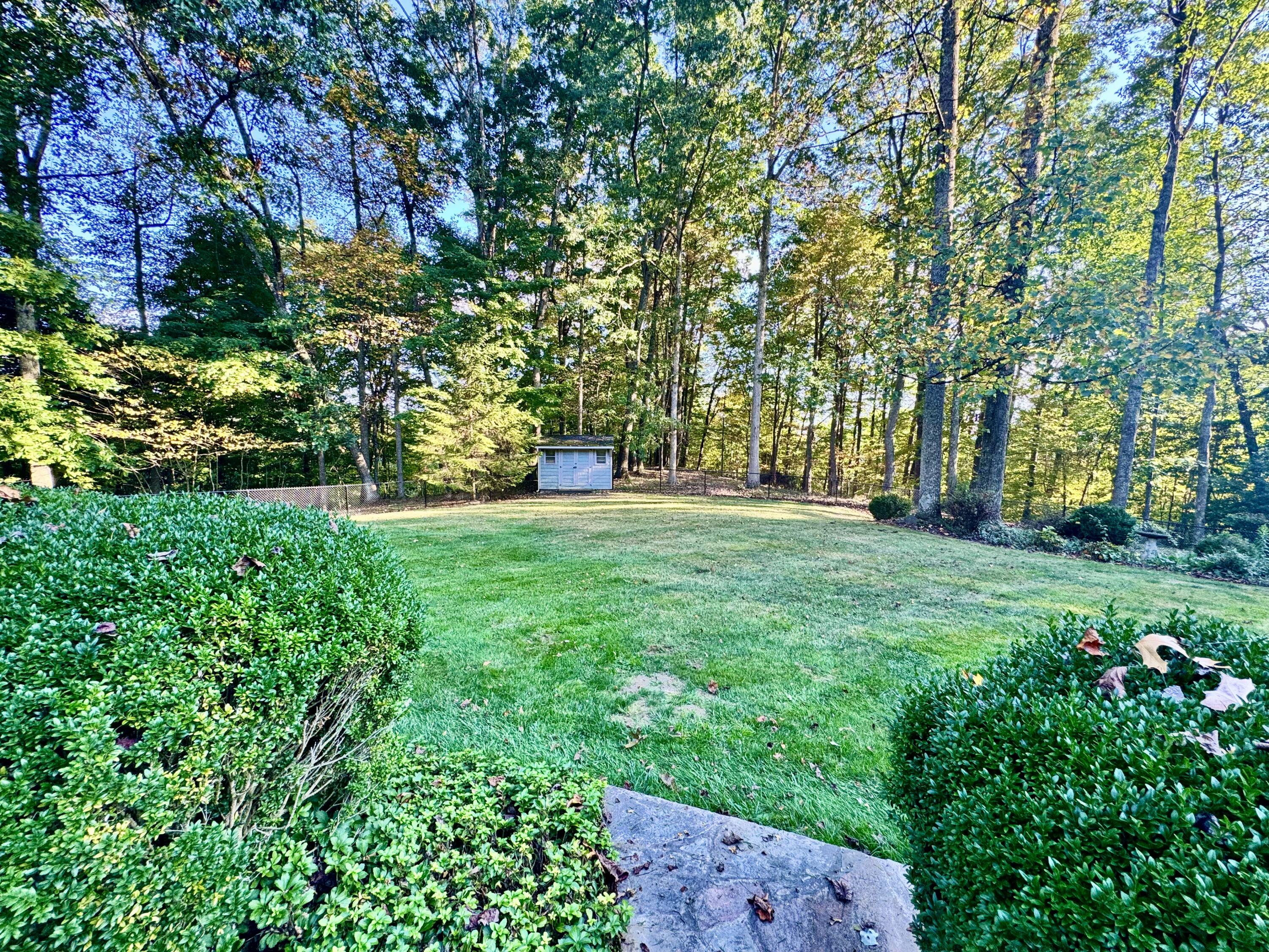 423 Dominick Cir
