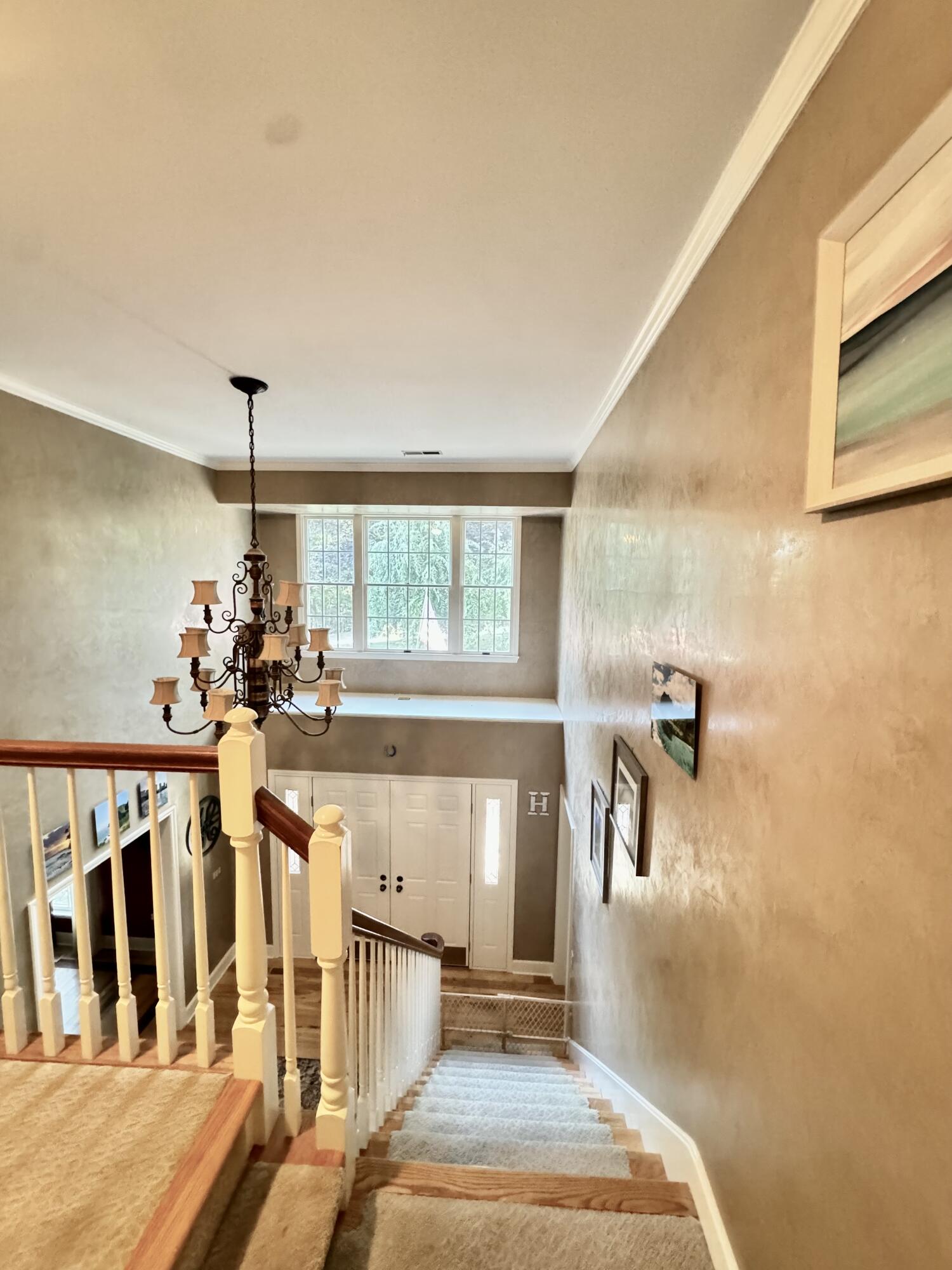423 Dominick Cir