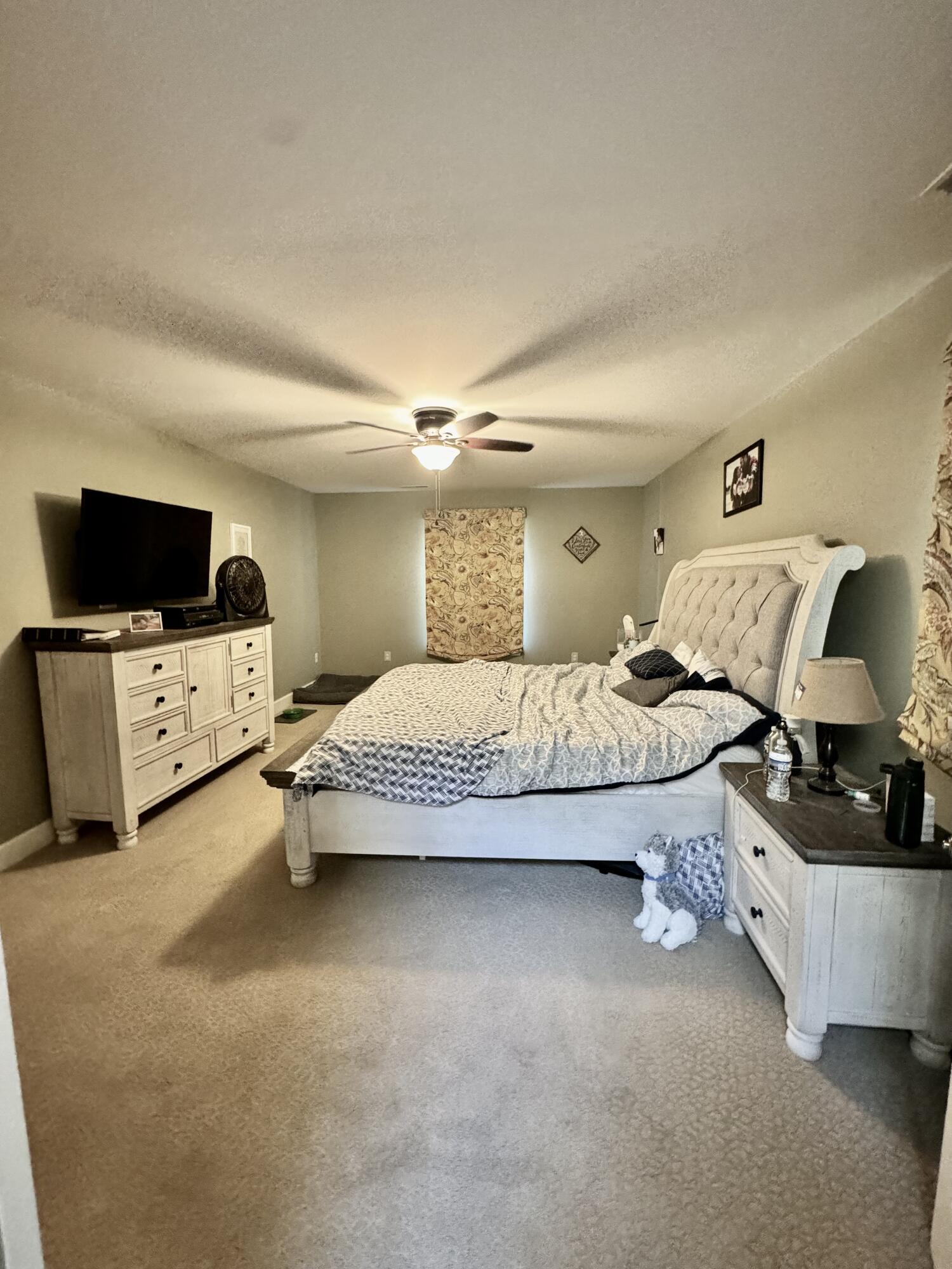 423 Dominick Cir