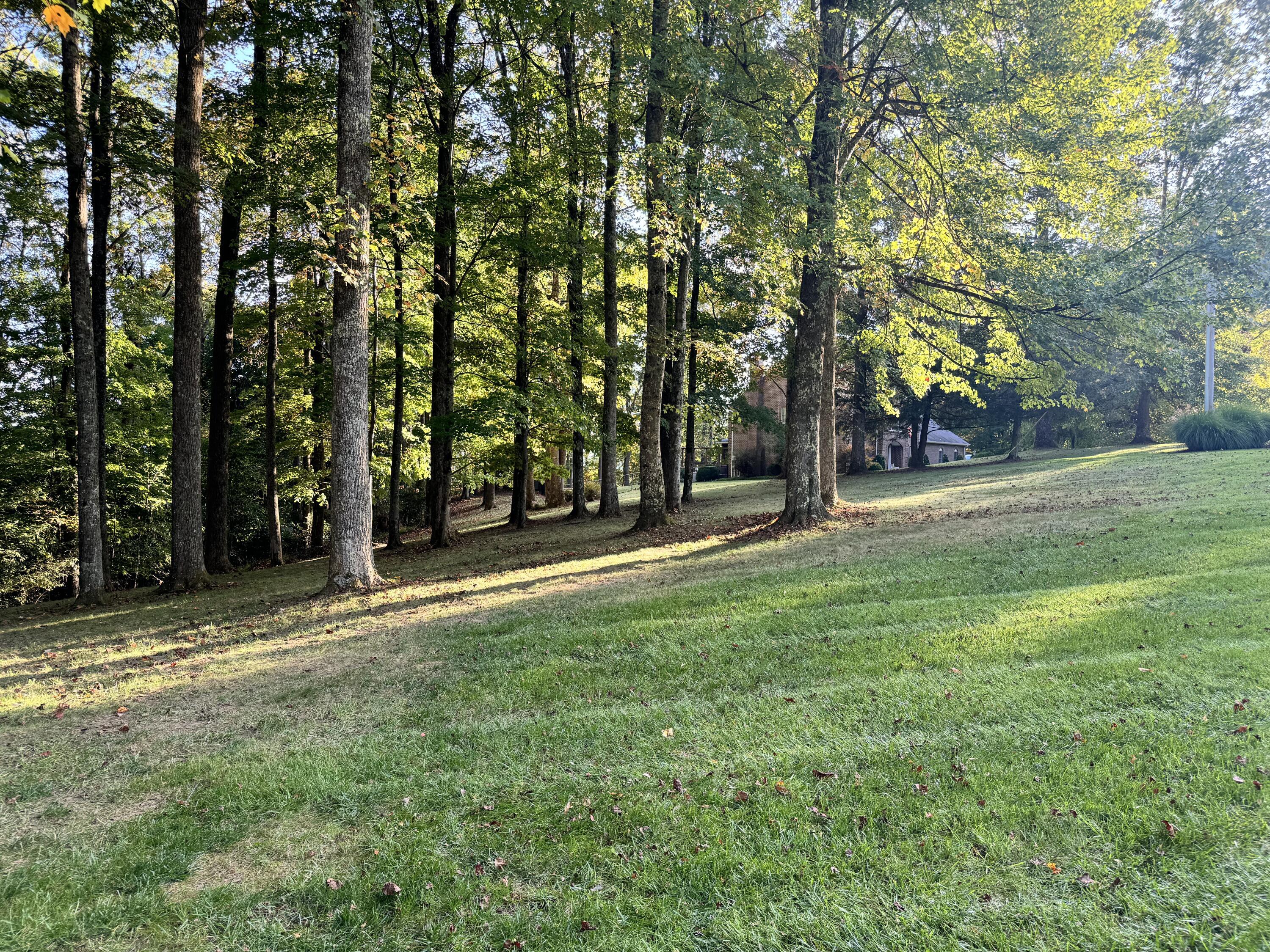 423 Dominick Cir