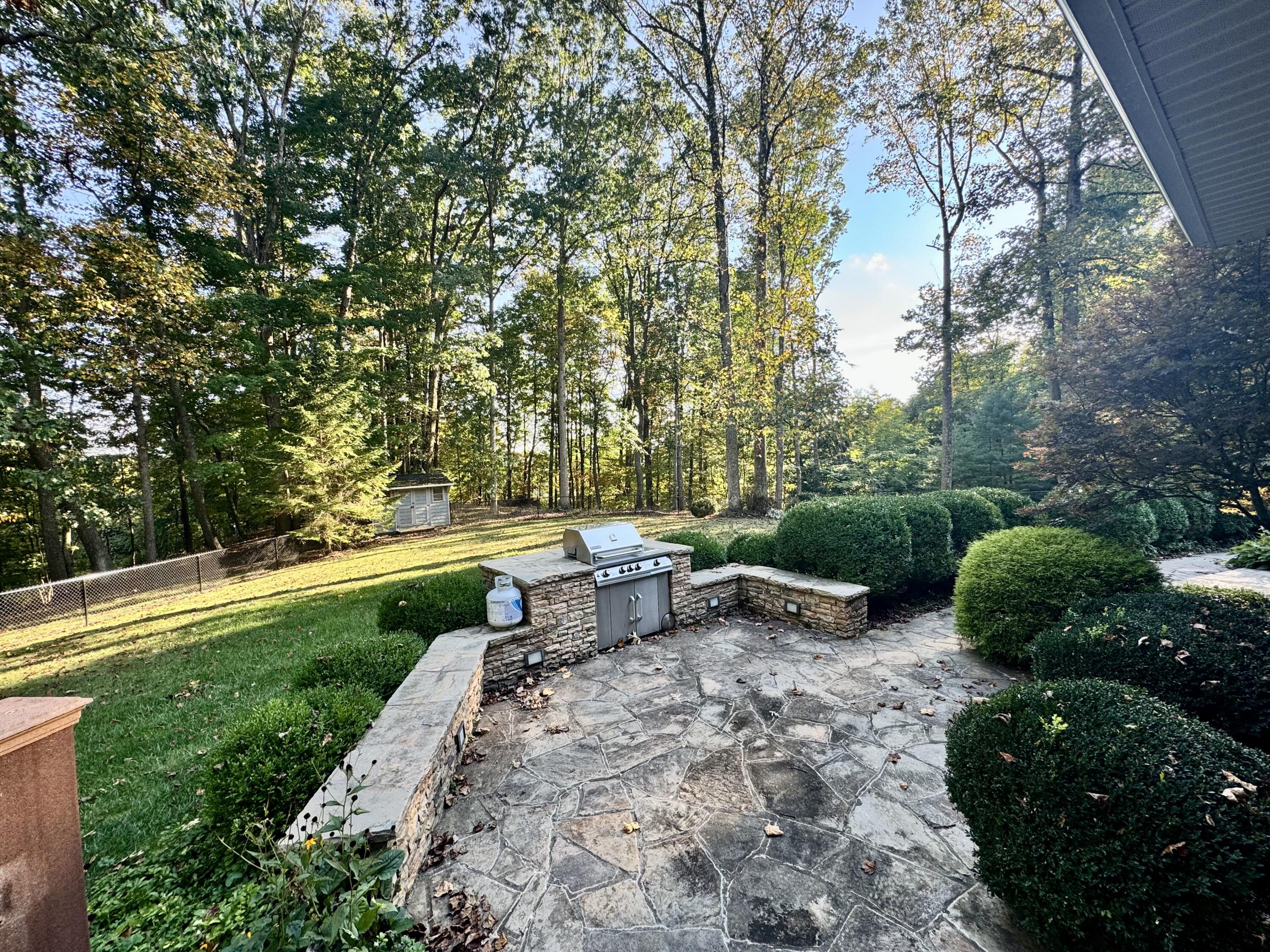 423 Dominick Cir
