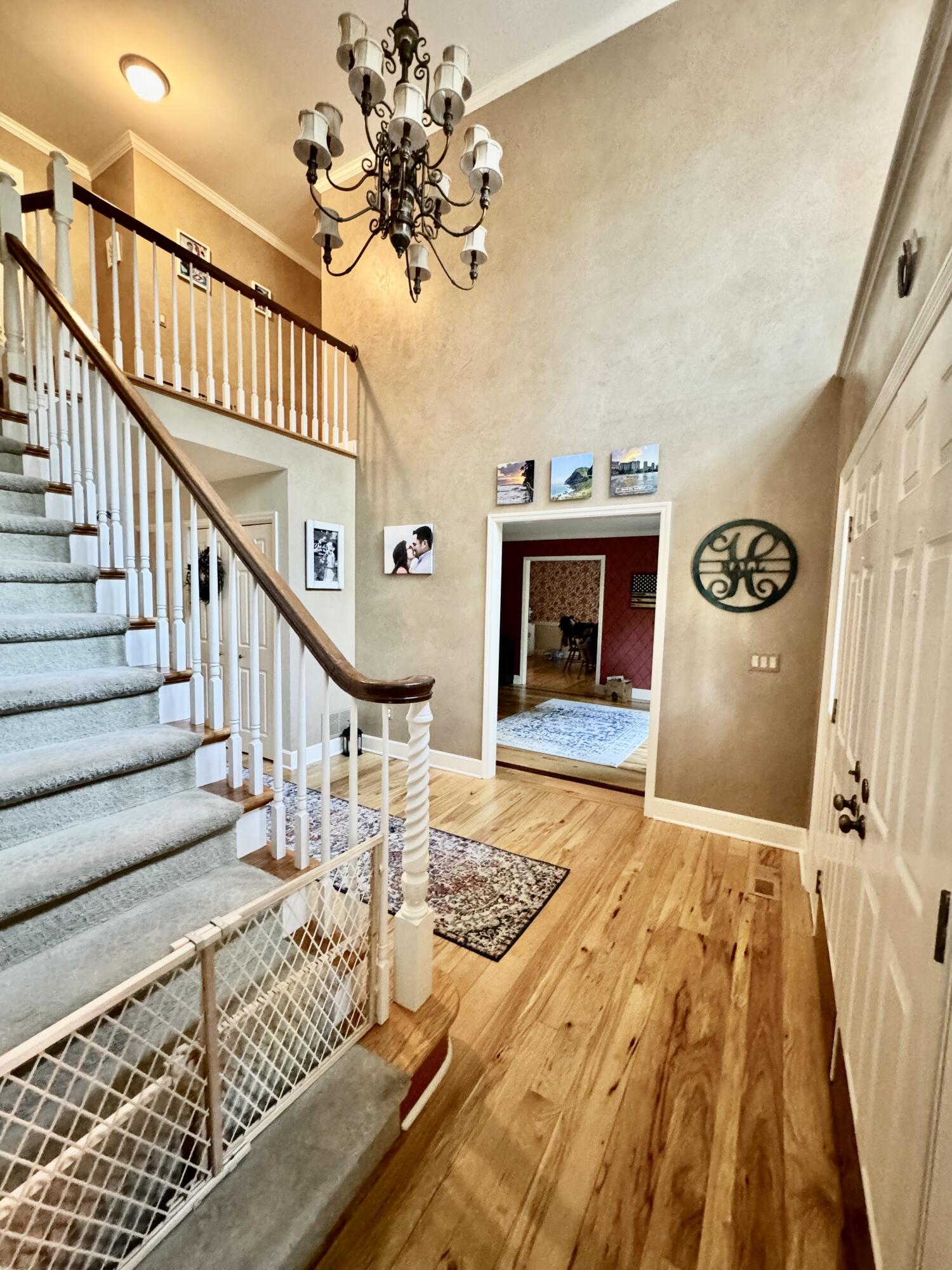 423 Dominick Cir