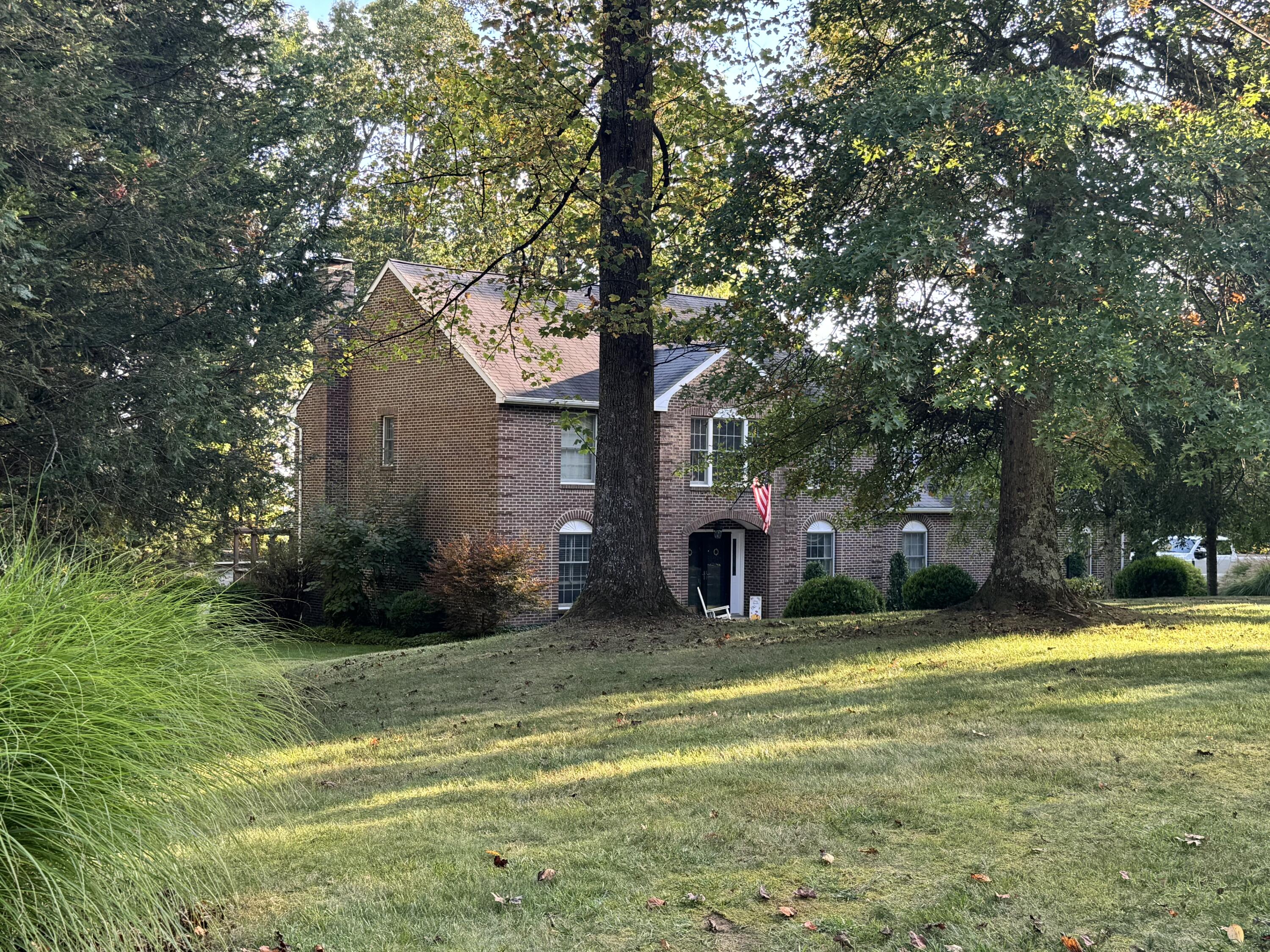 423 Dominick Cir