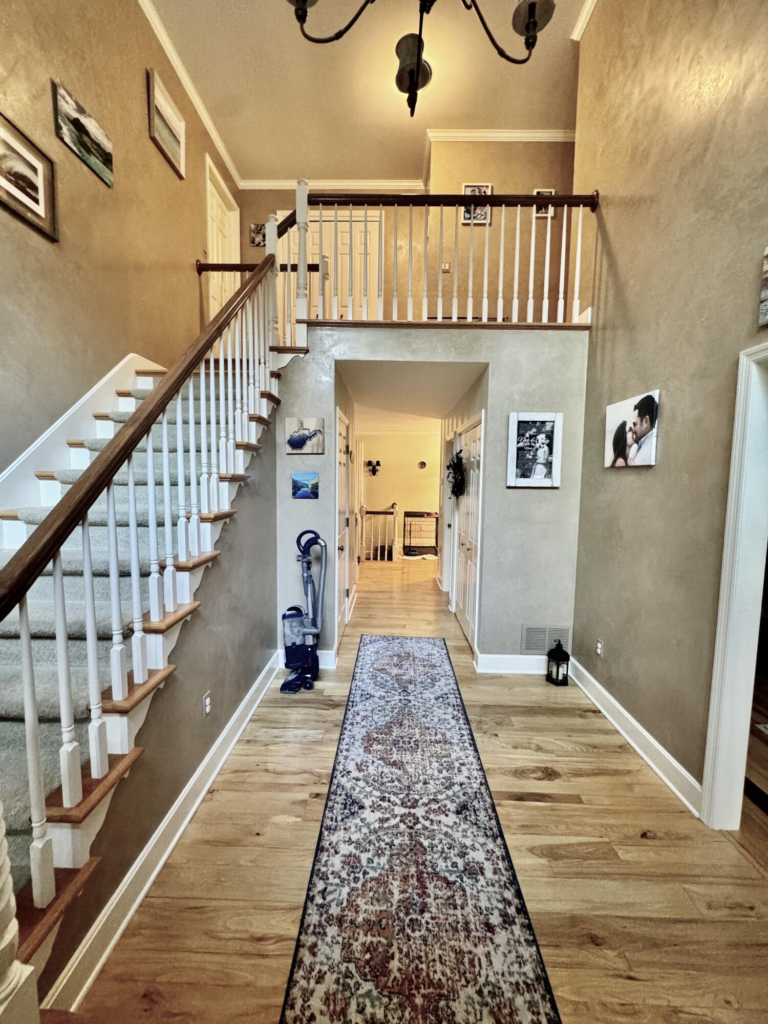 423 Dominick Cir
