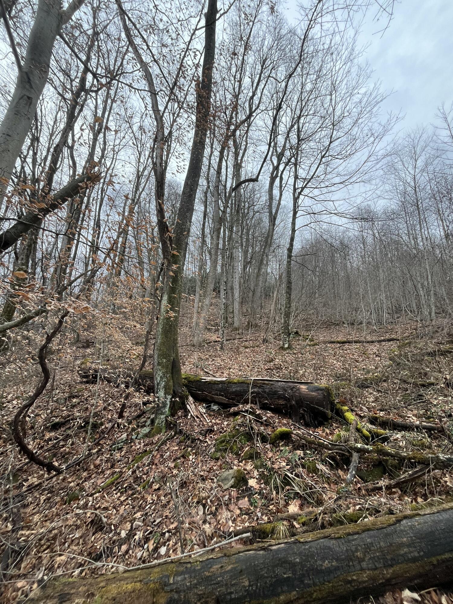 RT 39 RICHWOOD RD (LAFRANK)