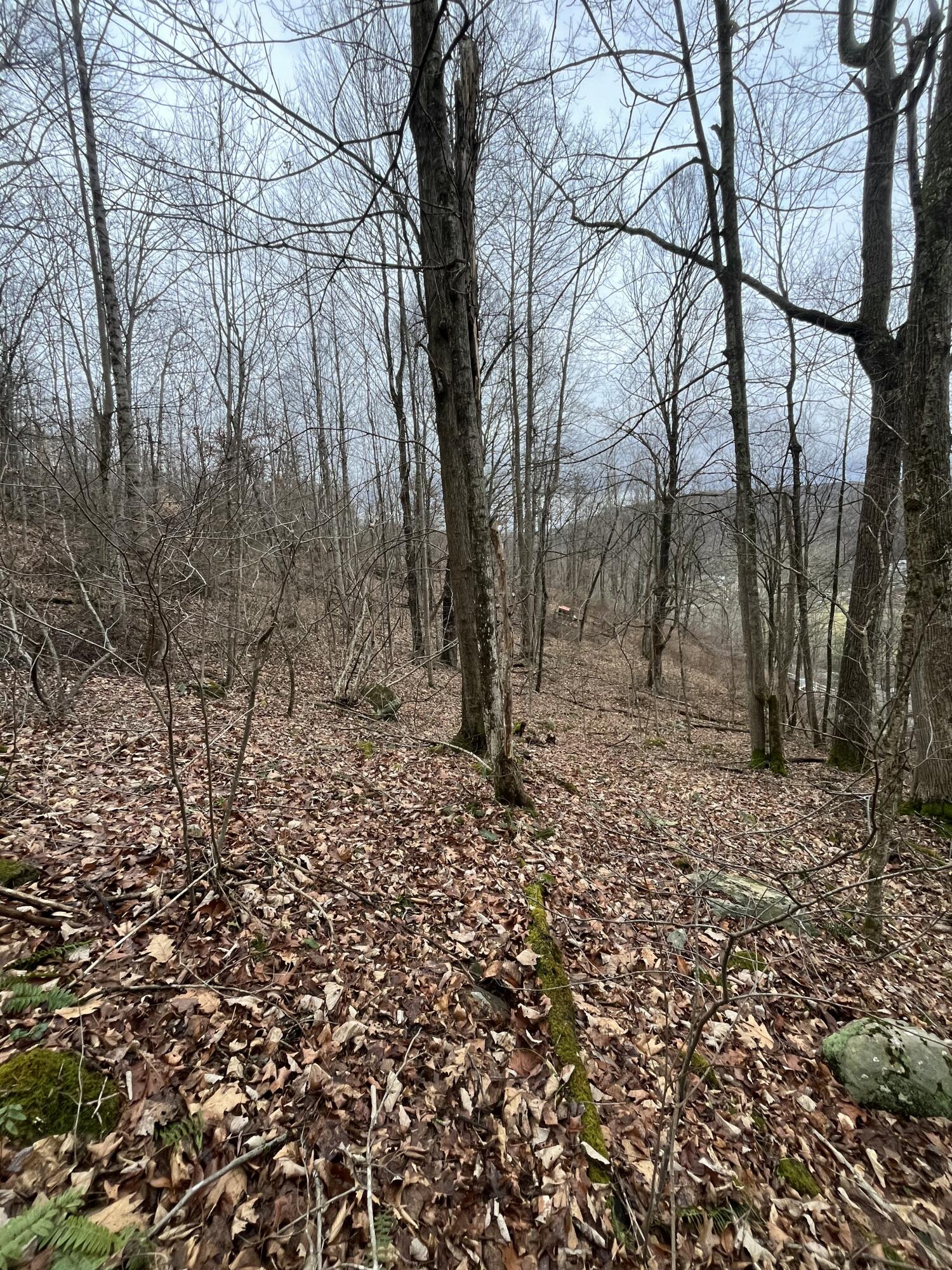 RT 39 RICHWOOD RD (LAFRANK)