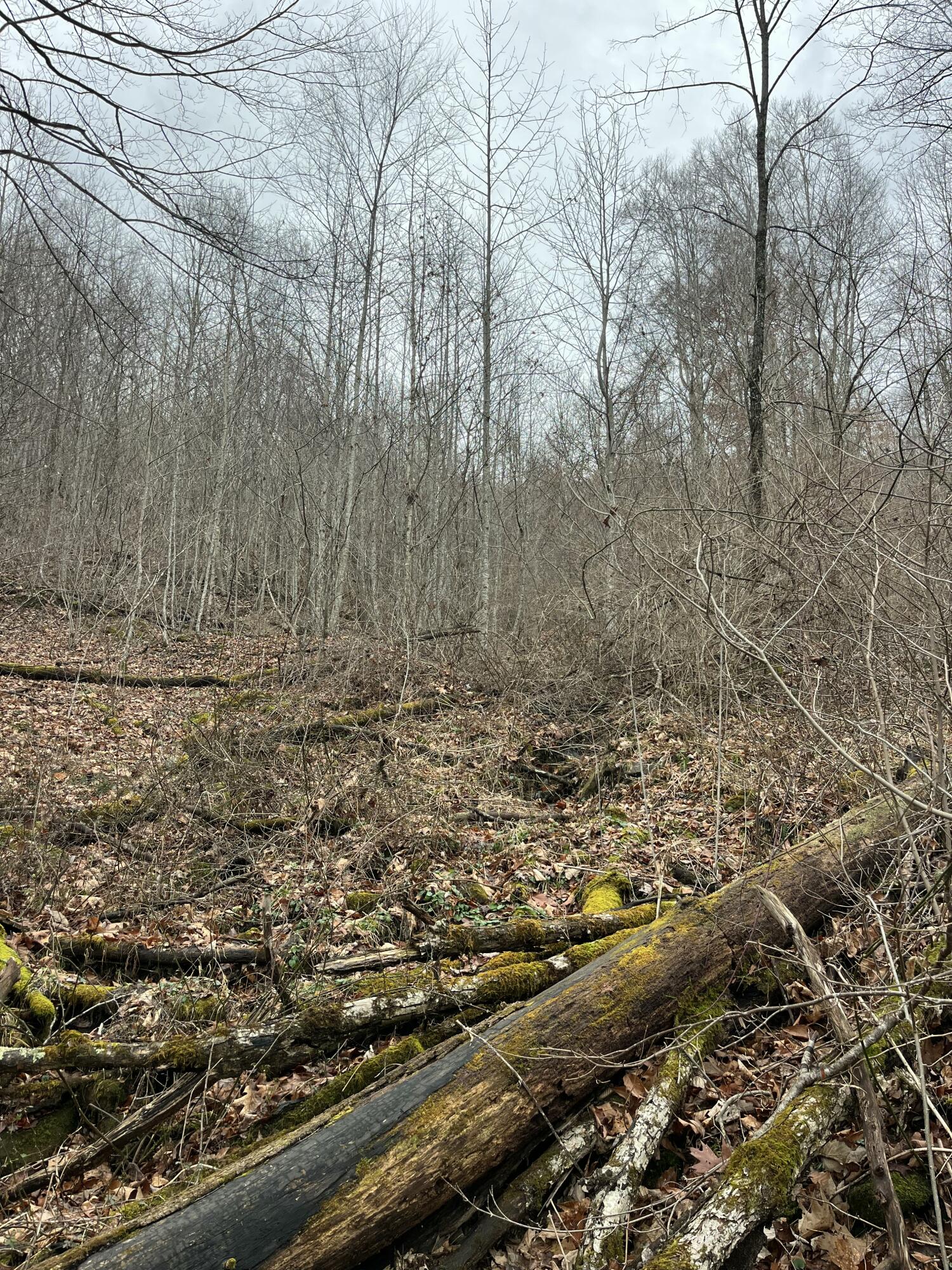 RT 39 RICHWOOD RD (LAFRANK)