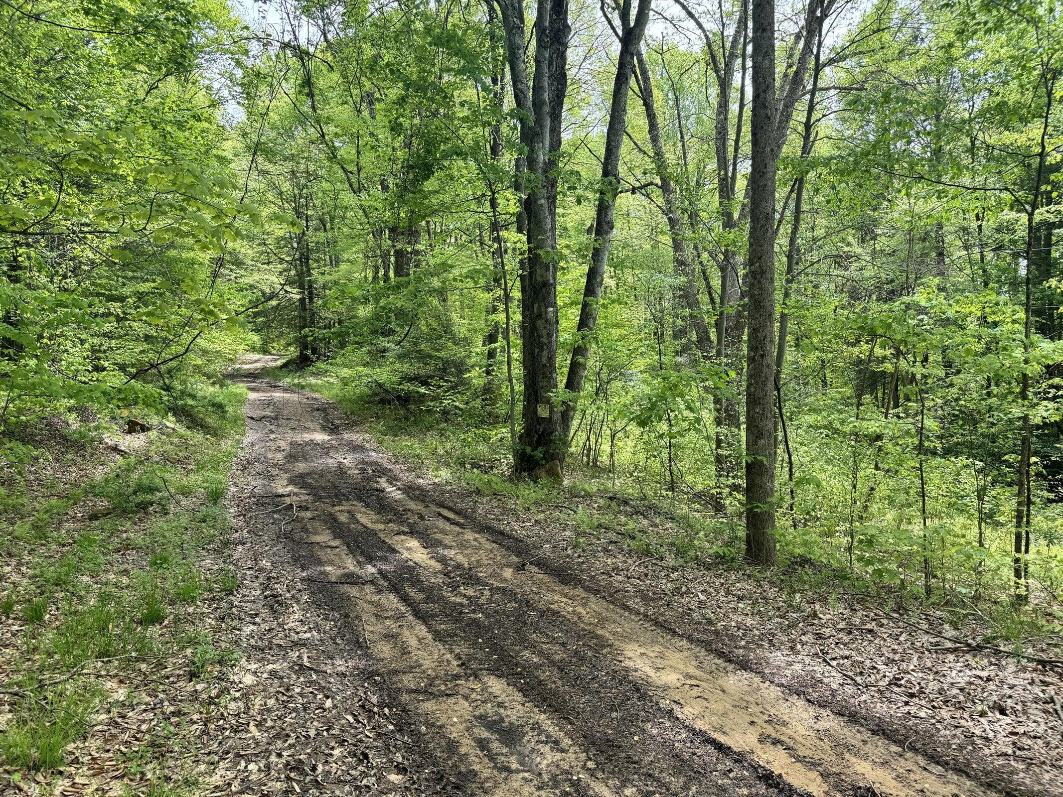 Rt 1/1 off Jettsville Rd