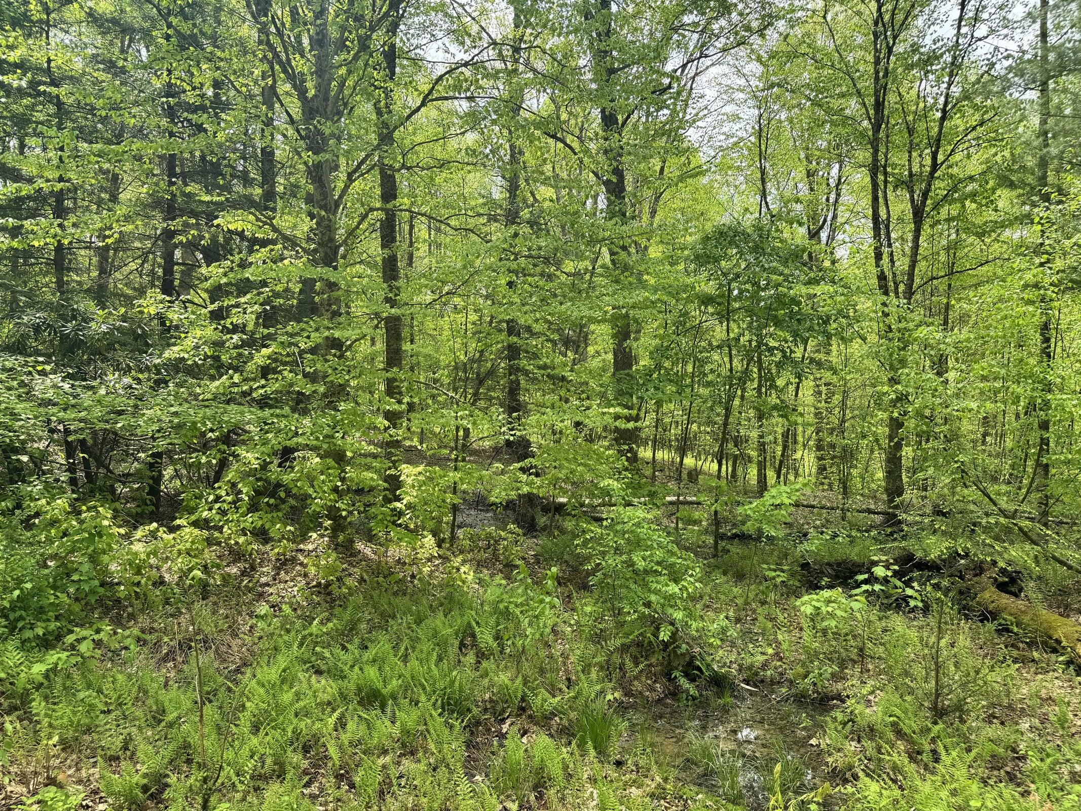 Rt 1/1 off Jettsville Rd