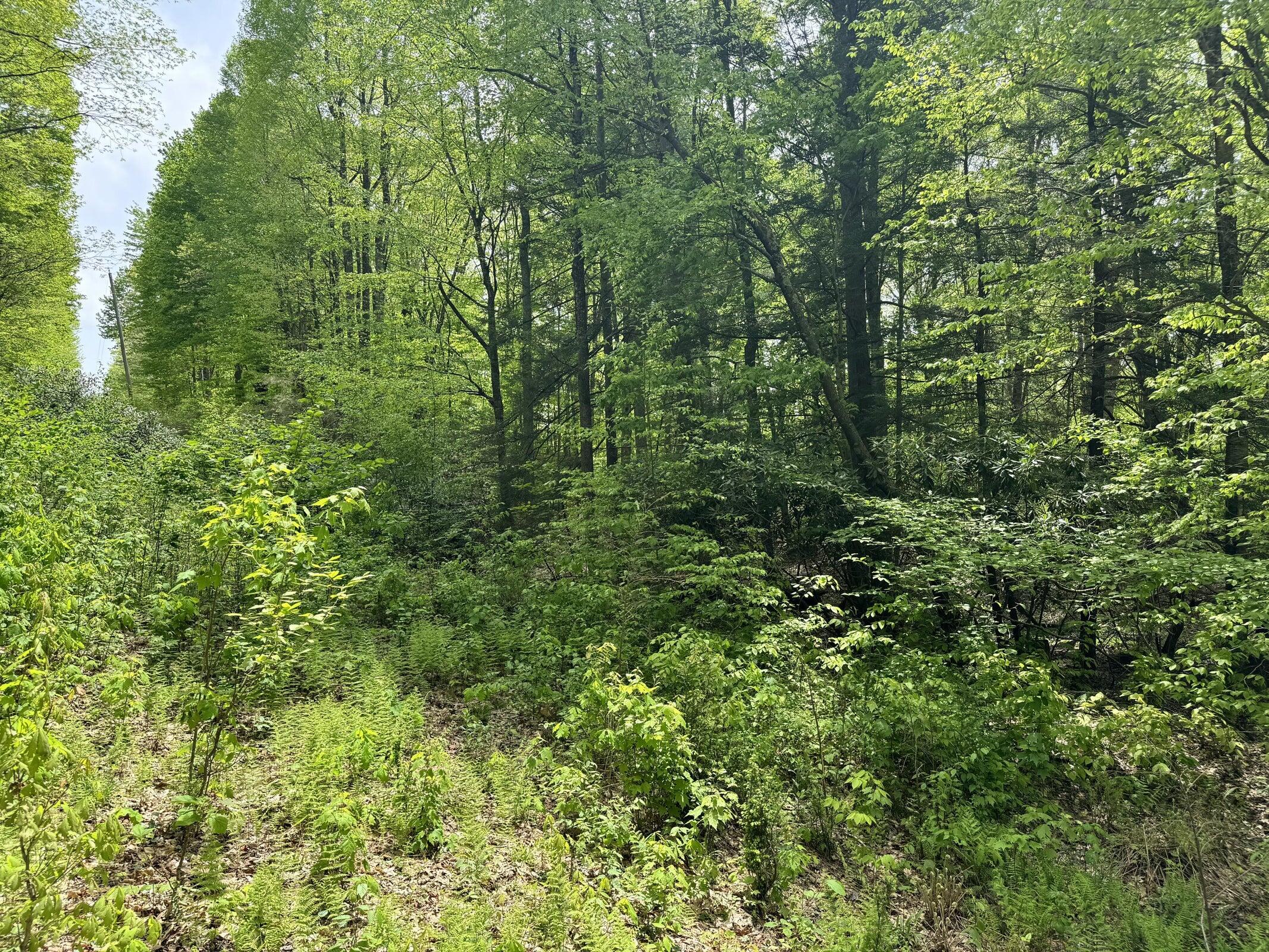 Rt 1/1 off Jettsville Rd