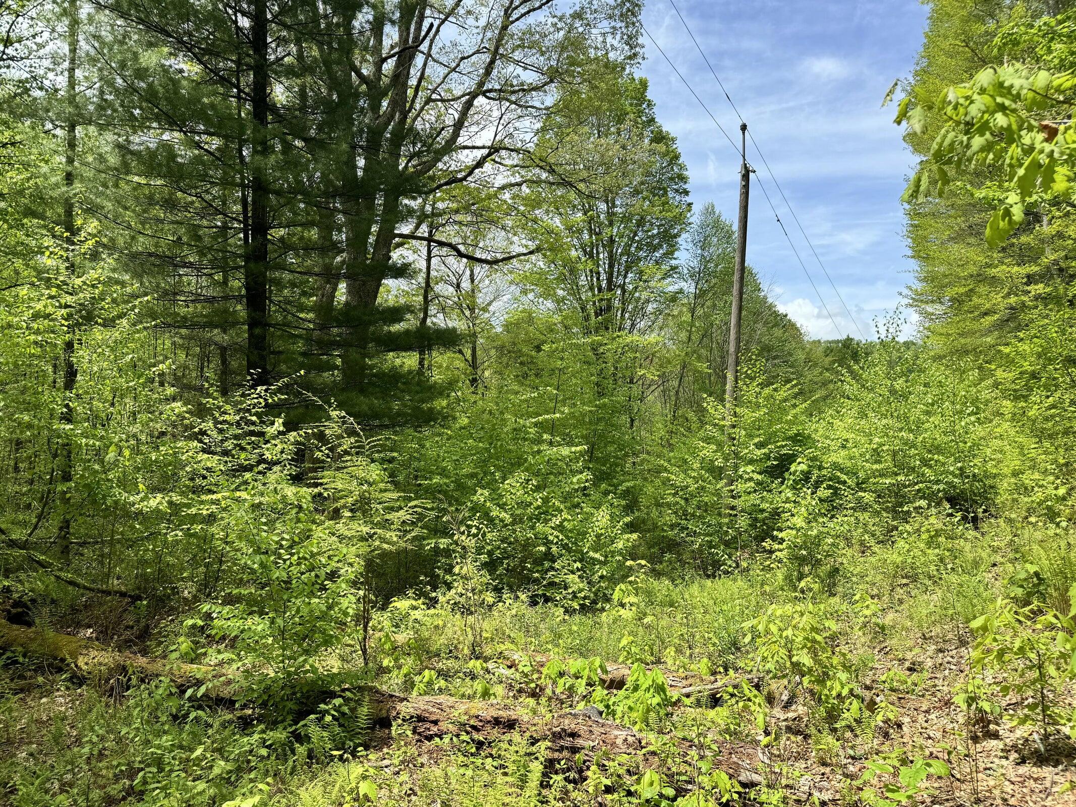 Rt 1/1 off Jettsville Rd