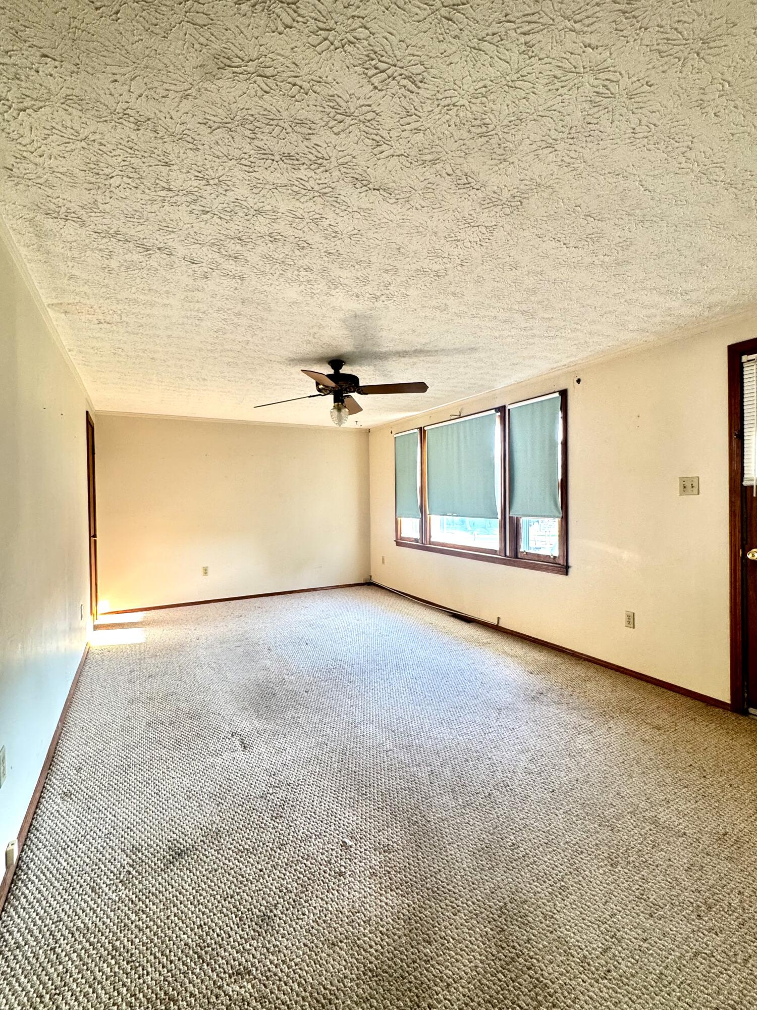 19 Reedy Addition RD