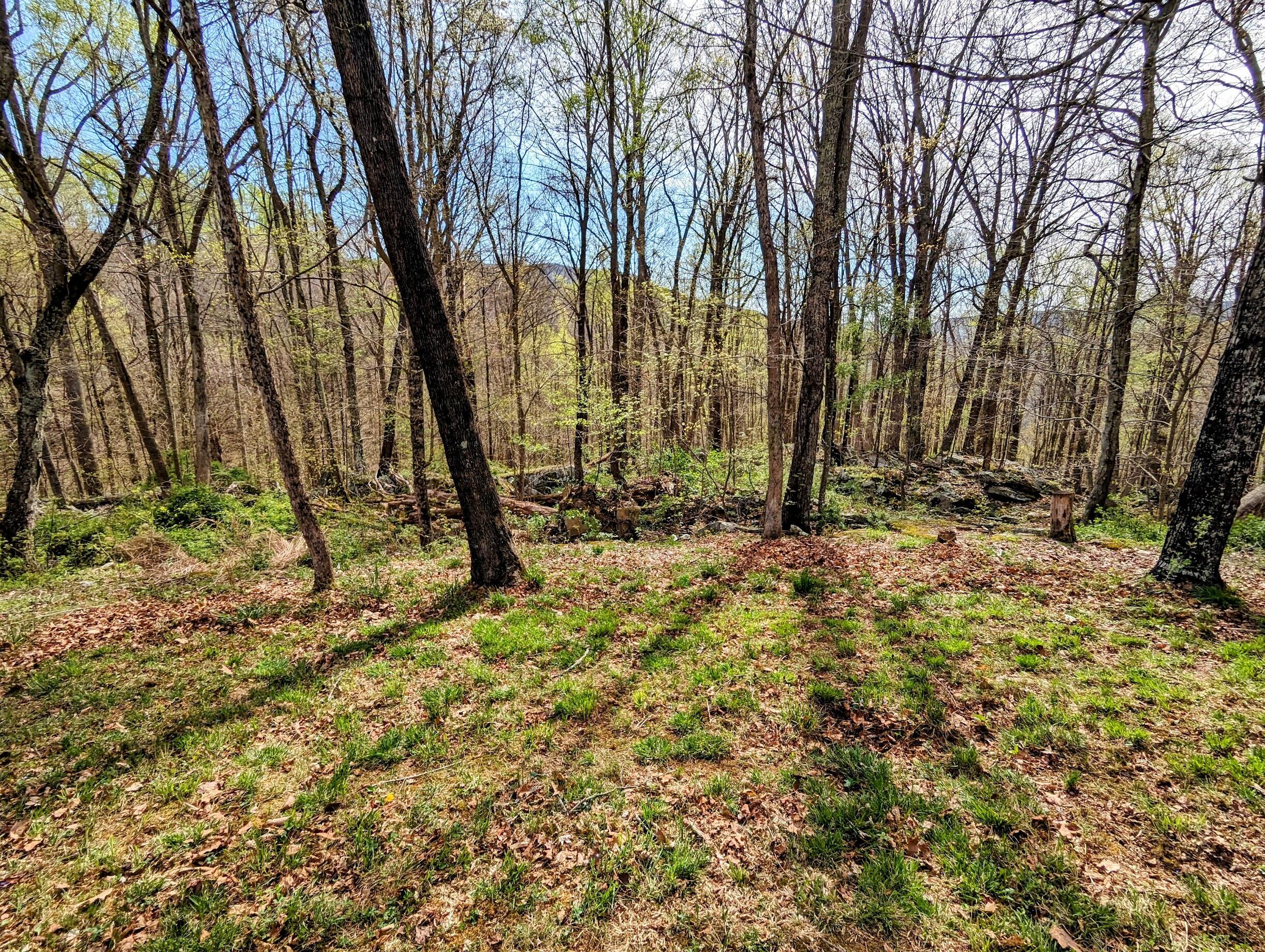 6531 Lockbridge Rd