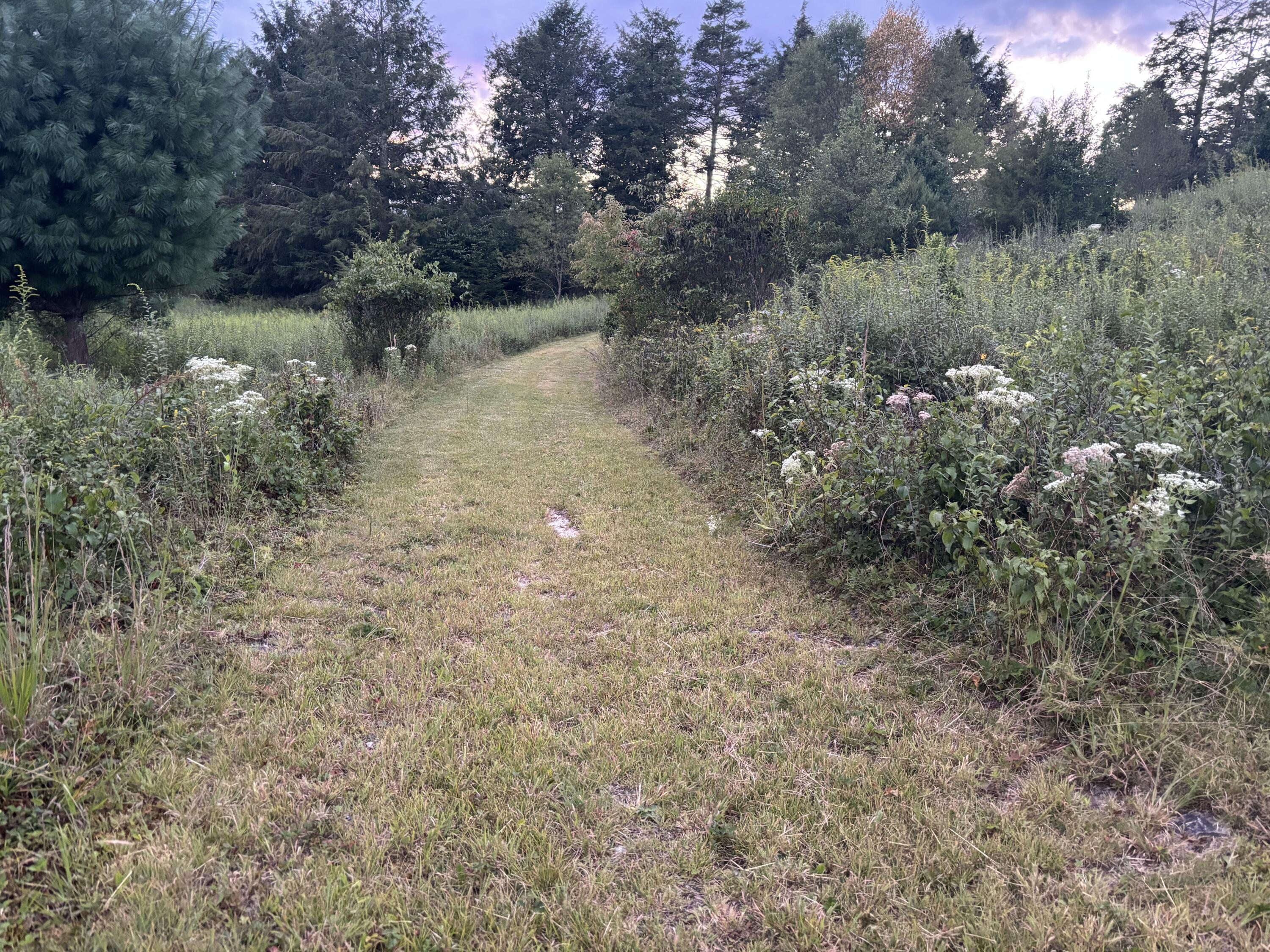 153 Ruby Ln