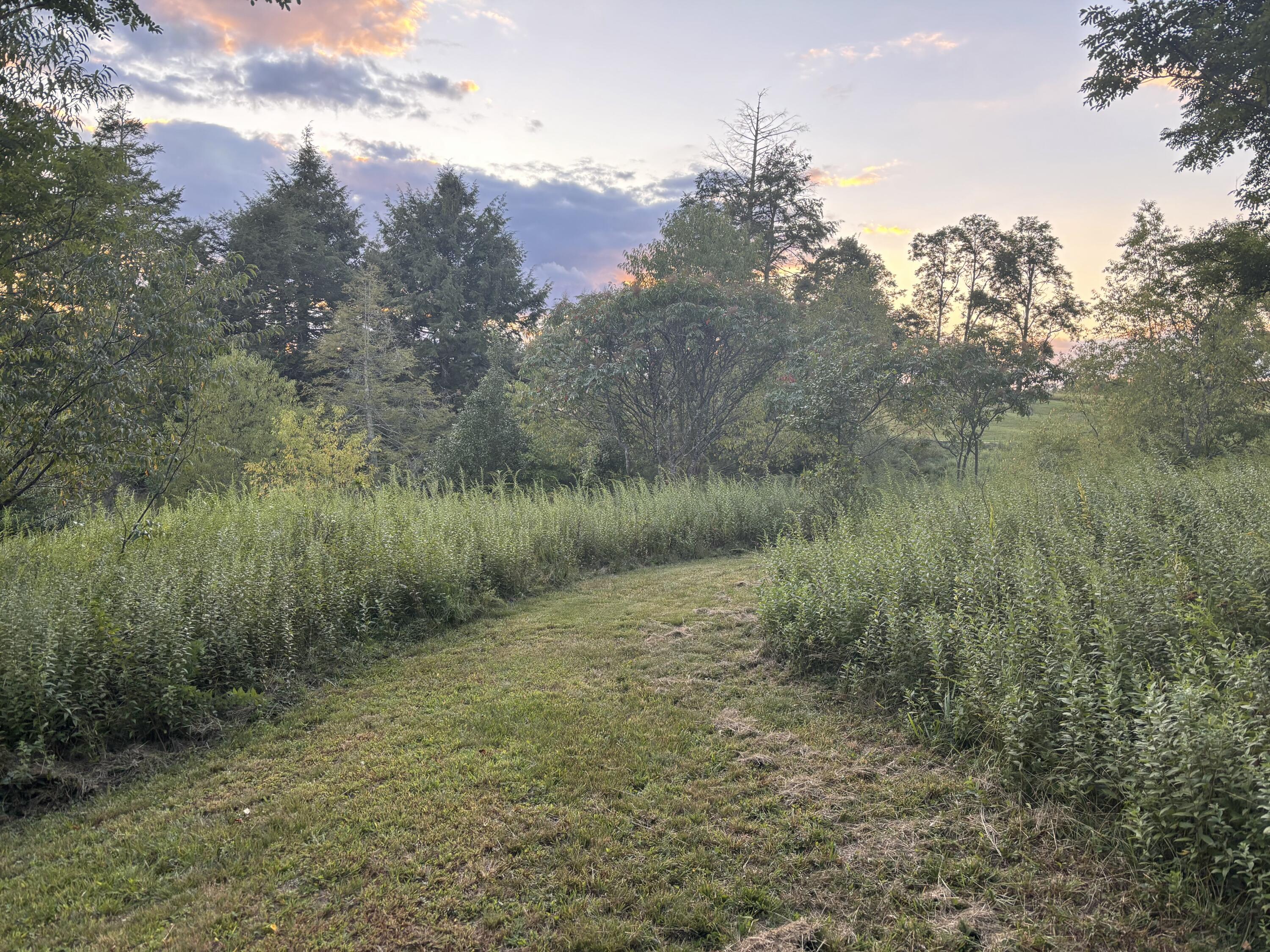 153 Ruby Ln