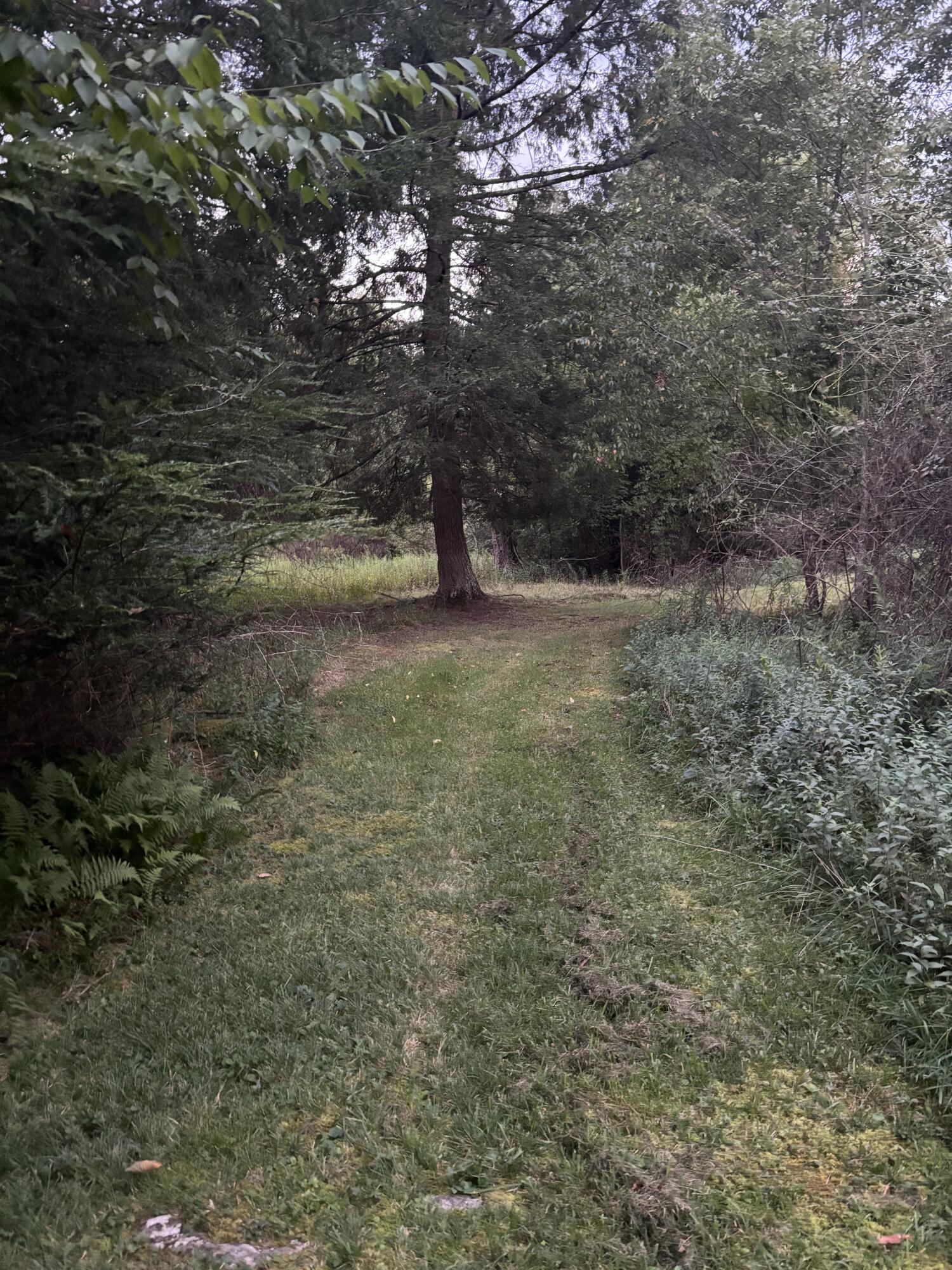 153 Ruby Ln