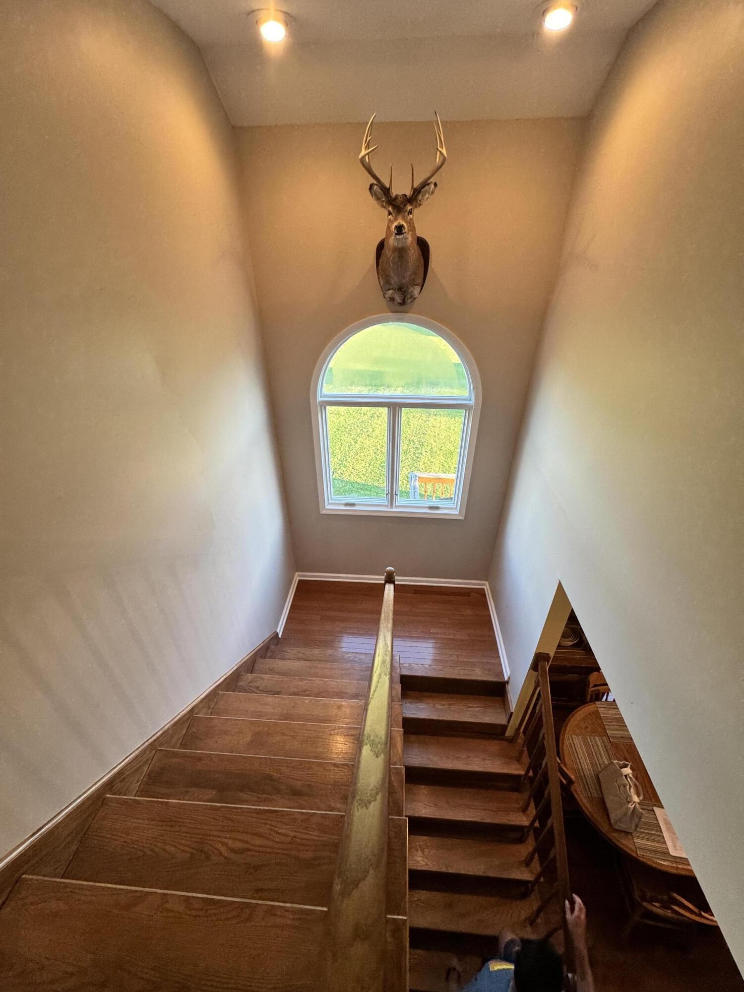 153 Ruby Ln