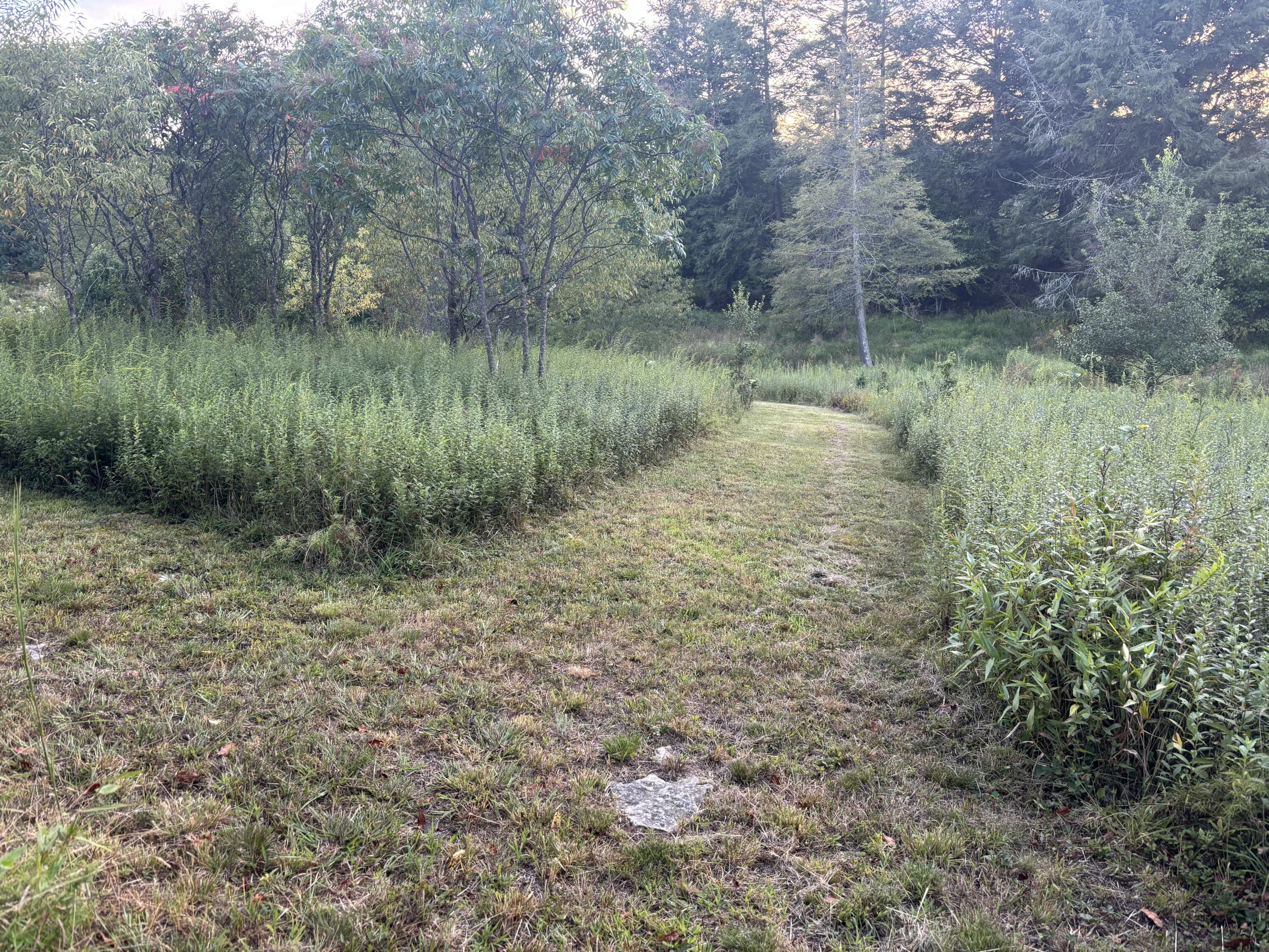 153 Ruby Ln
