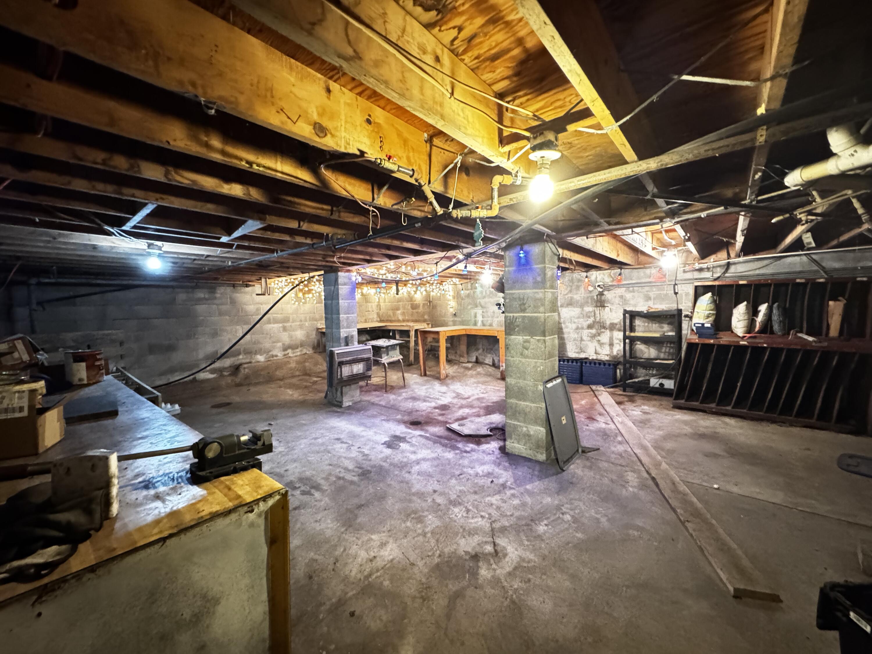 11303 Canvas Nettle Rd