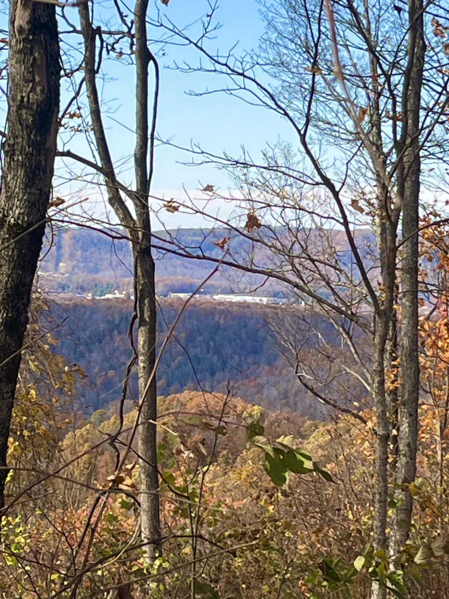 139 TIMBER VALLEY RD