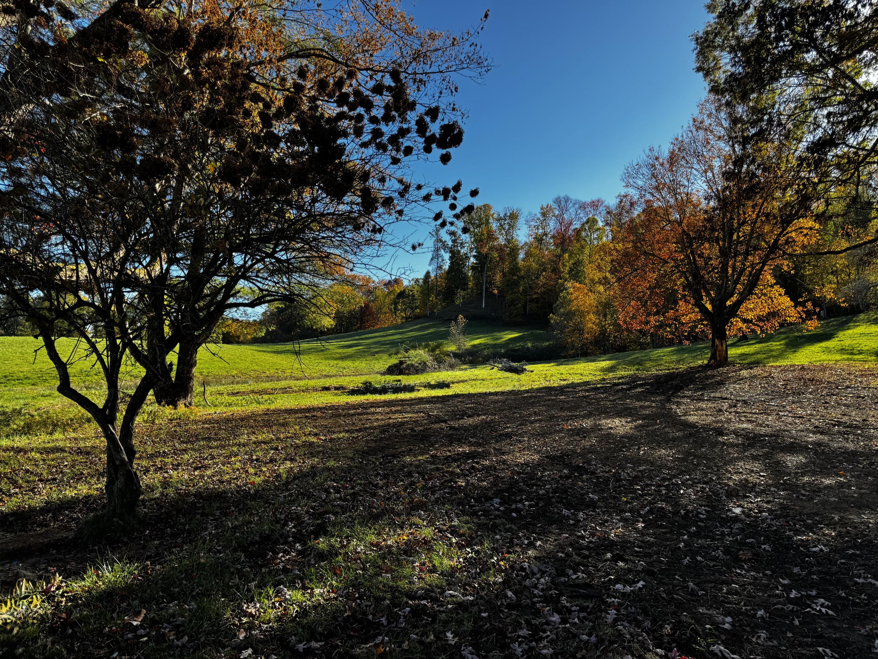 139 TIMBER VALLEY RD