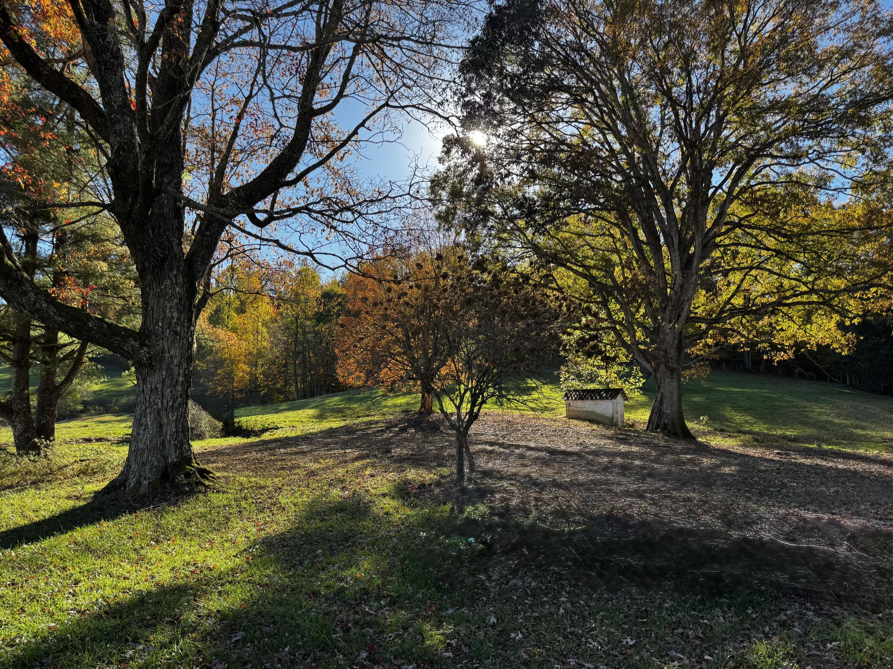 139 TIMBER VALLEY RD