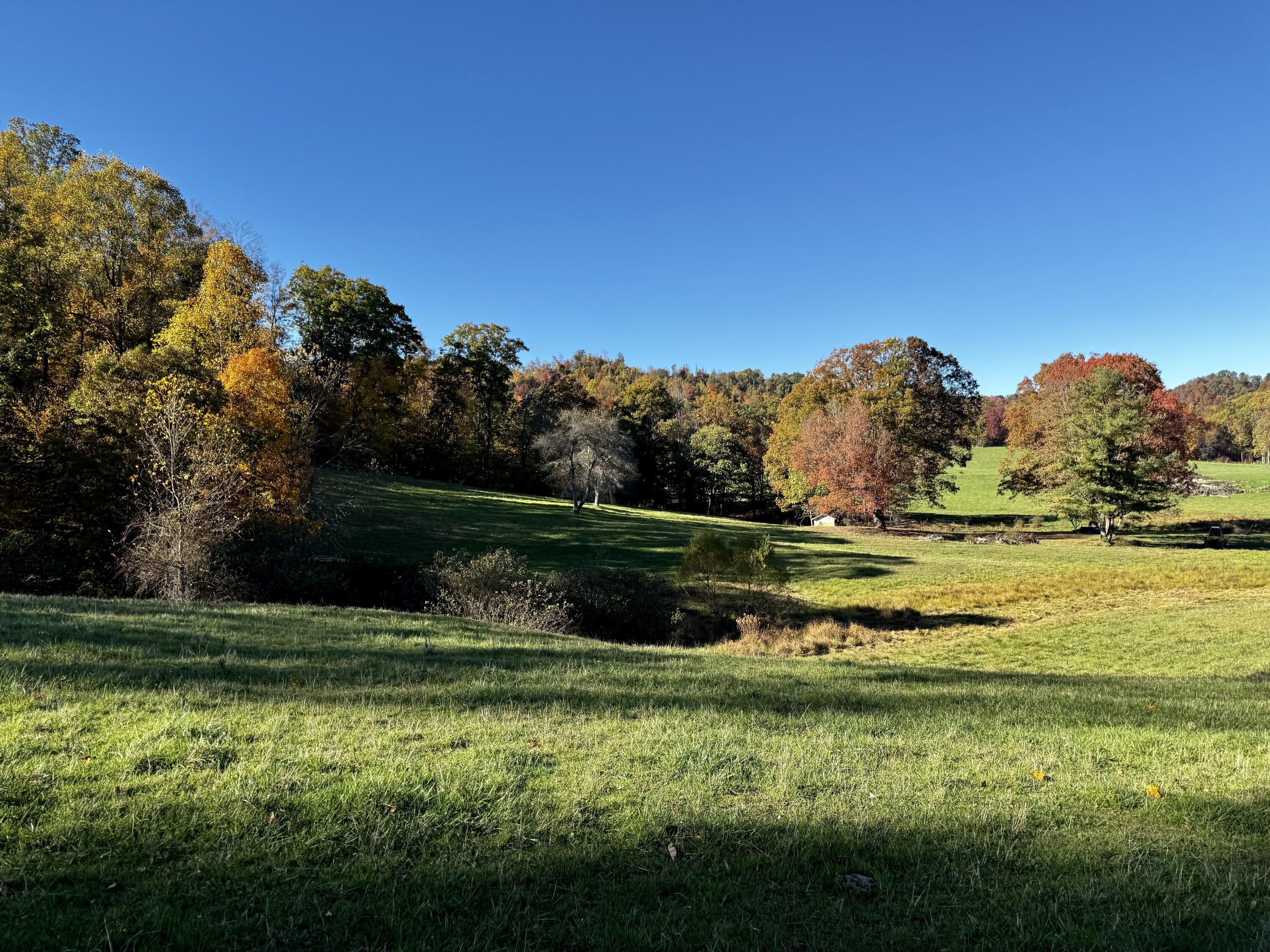 139 TIMBER VALLEY RD