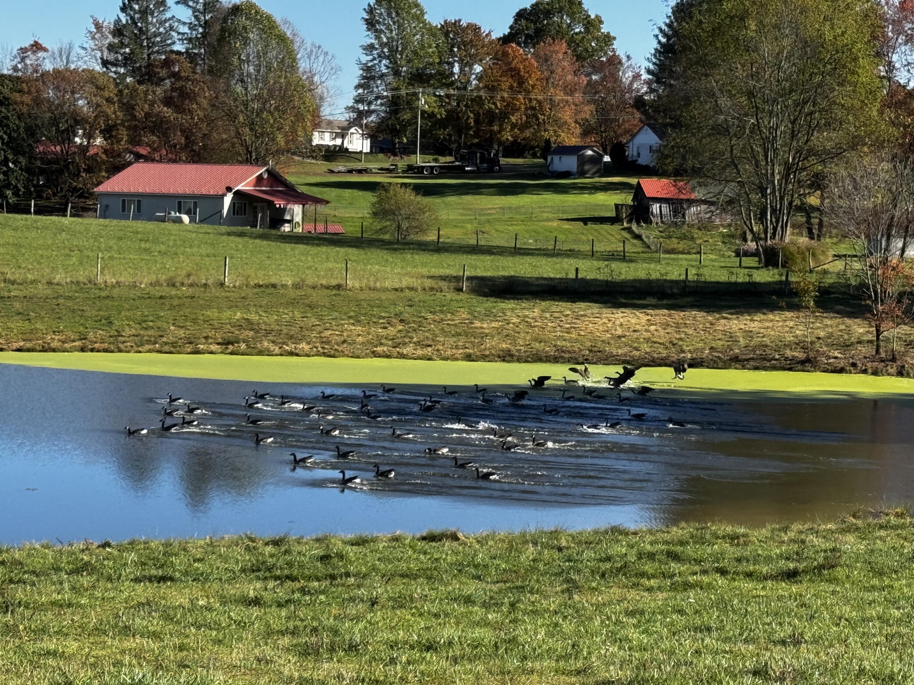 139 TIMBER VALLEY RD