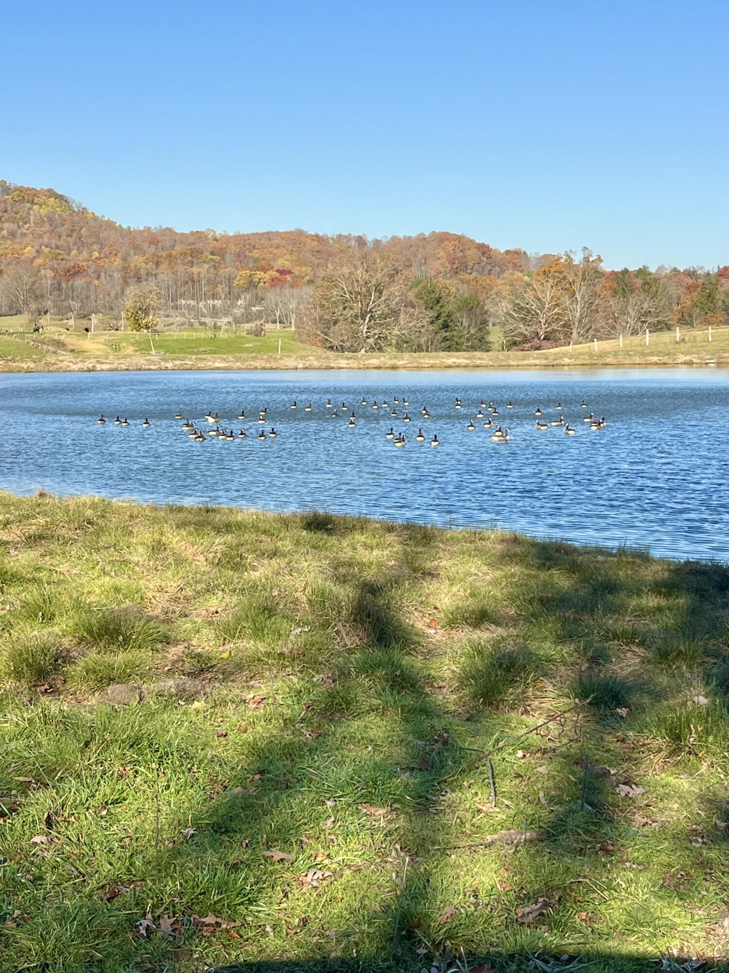 139 TIMBER VALLEY RD