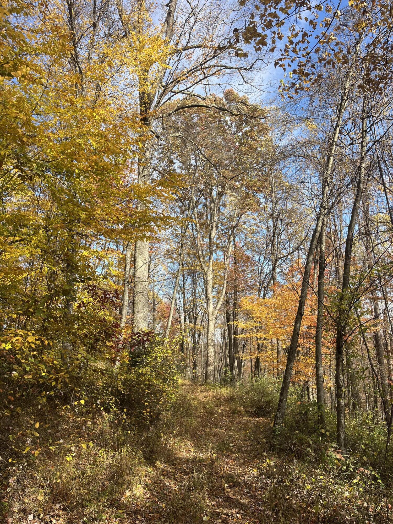 139 TIMBER VALLEY RD