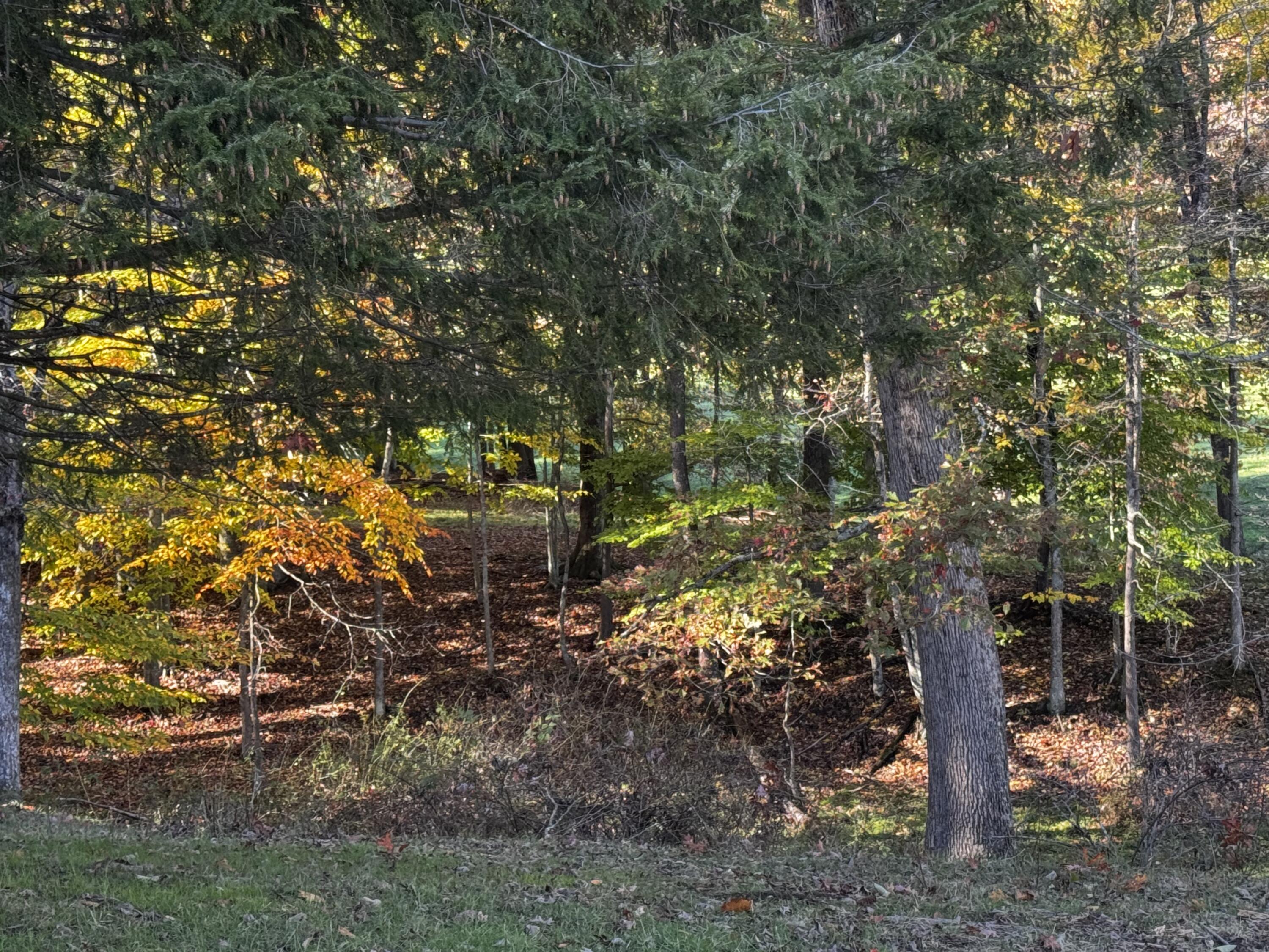 139 TIMBER VALLEY RD