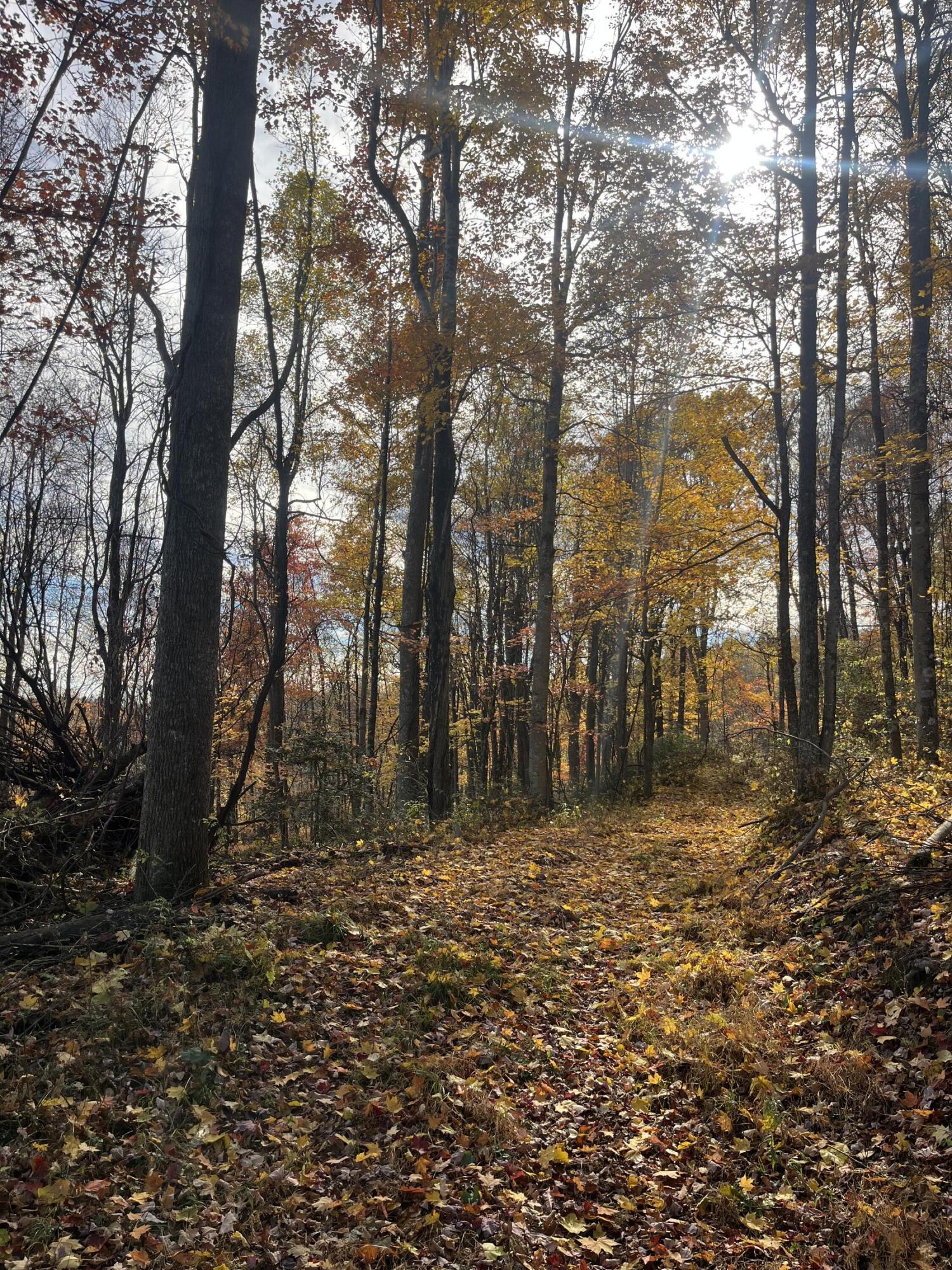 139 TIMBER VALLEY RD