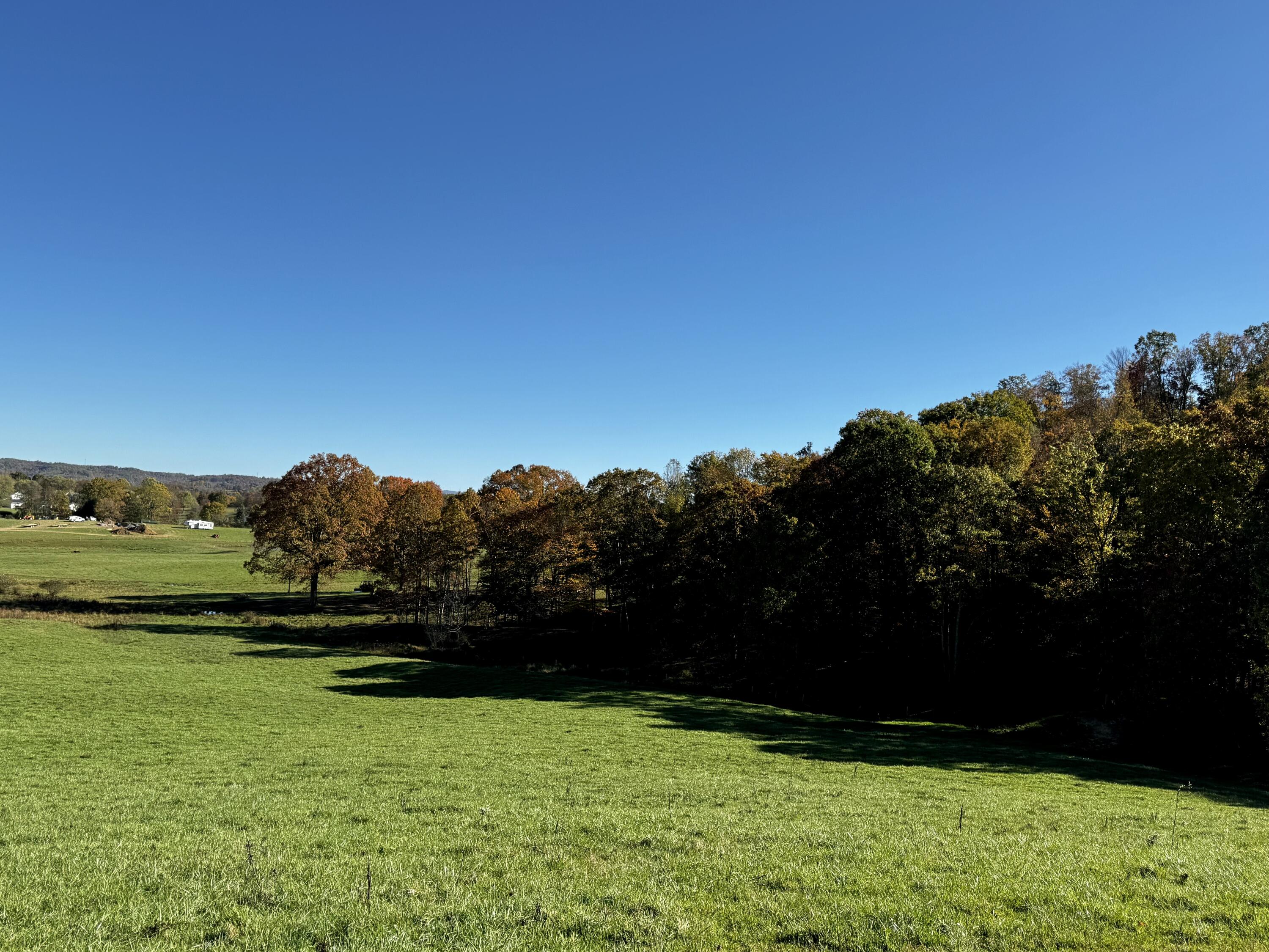 139 TIMBER VALLEY RD