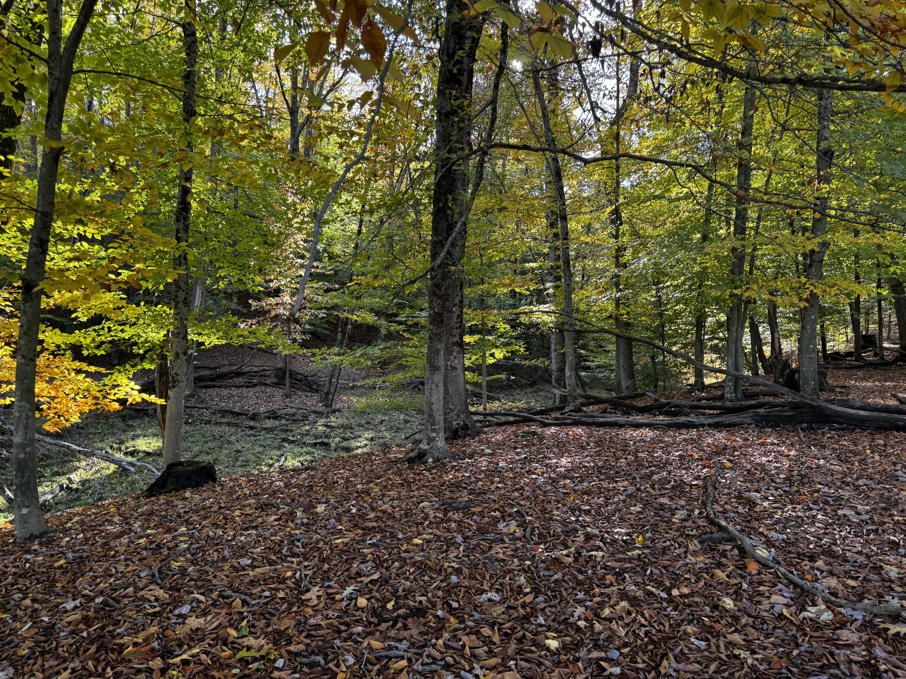 139 TIMBER VALLEY RD